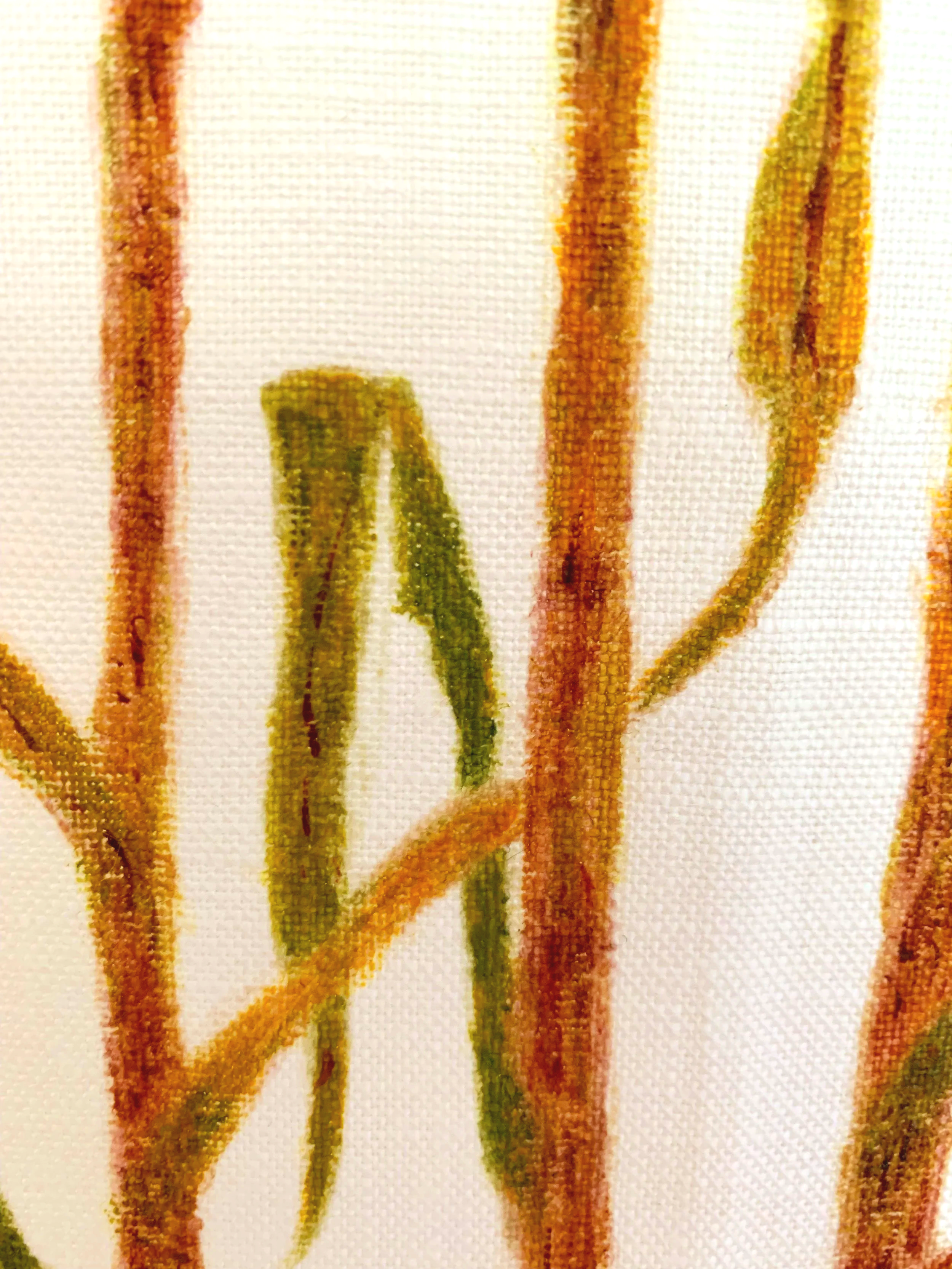Sugarcane Memory III (2026) - Botanica Brasilis