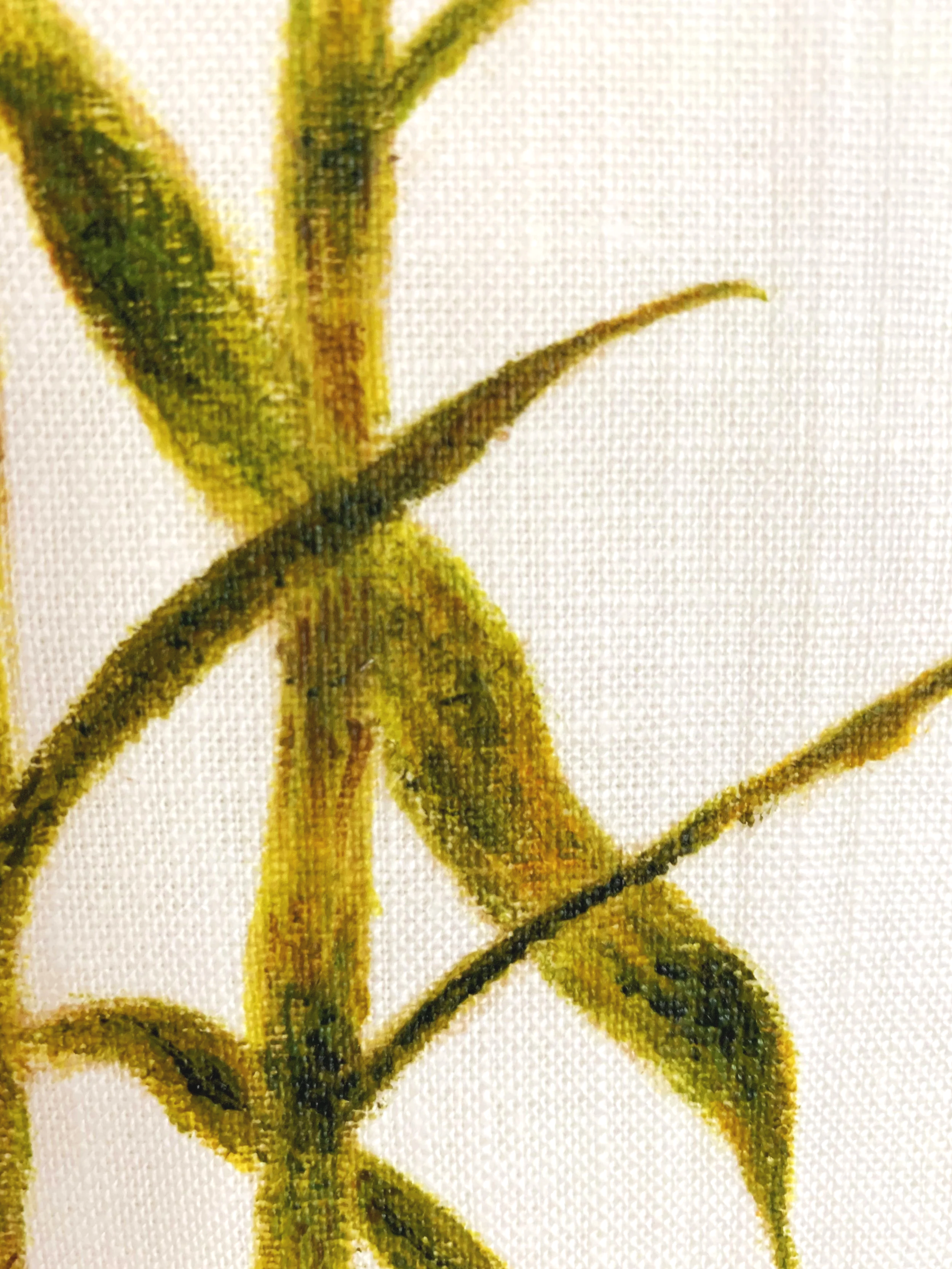 Sugarcane Memory II (2026) - Botanica Brasilis
