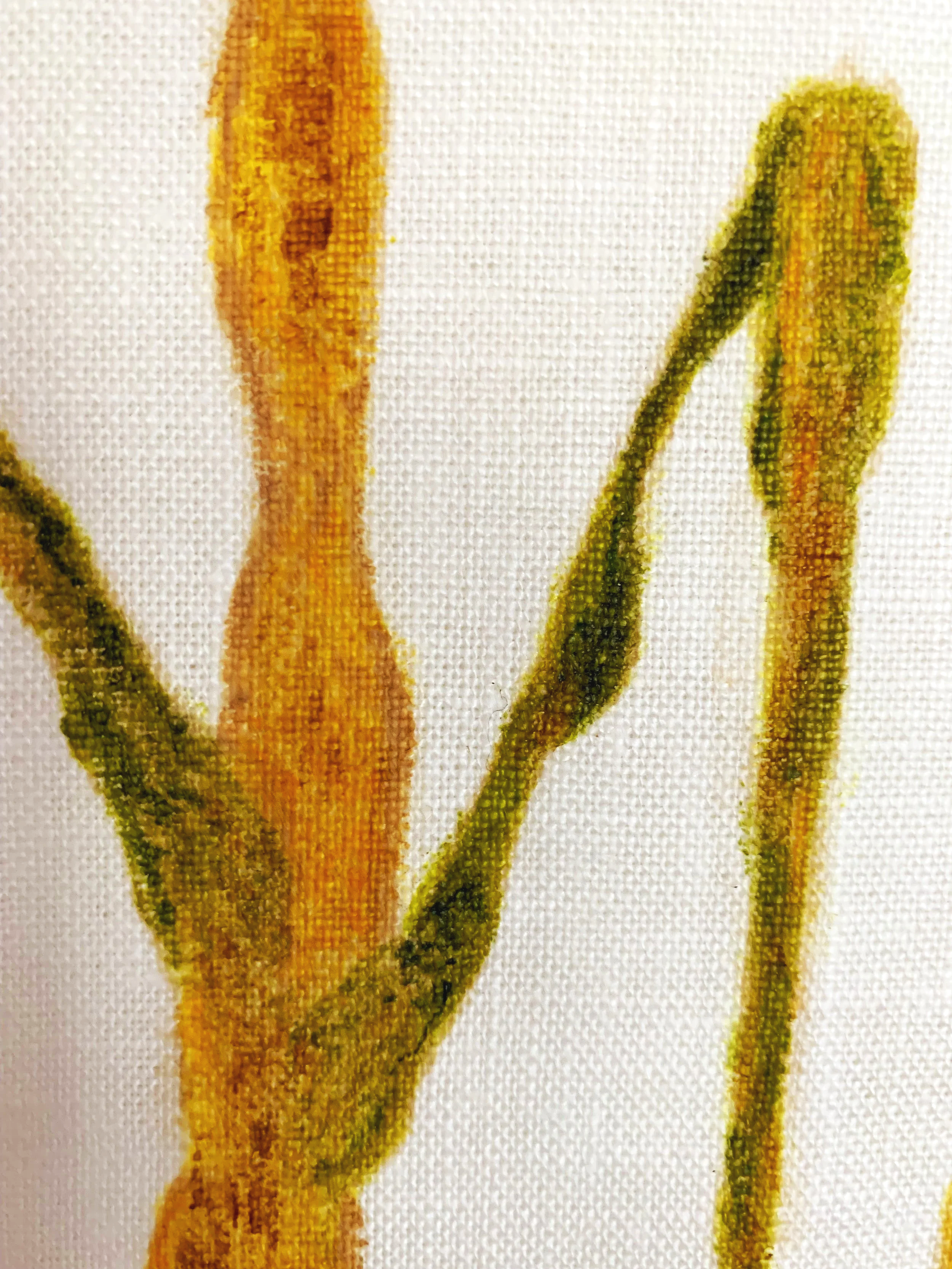 Sugarcane Memory I (2026) - Botanica Brasilis