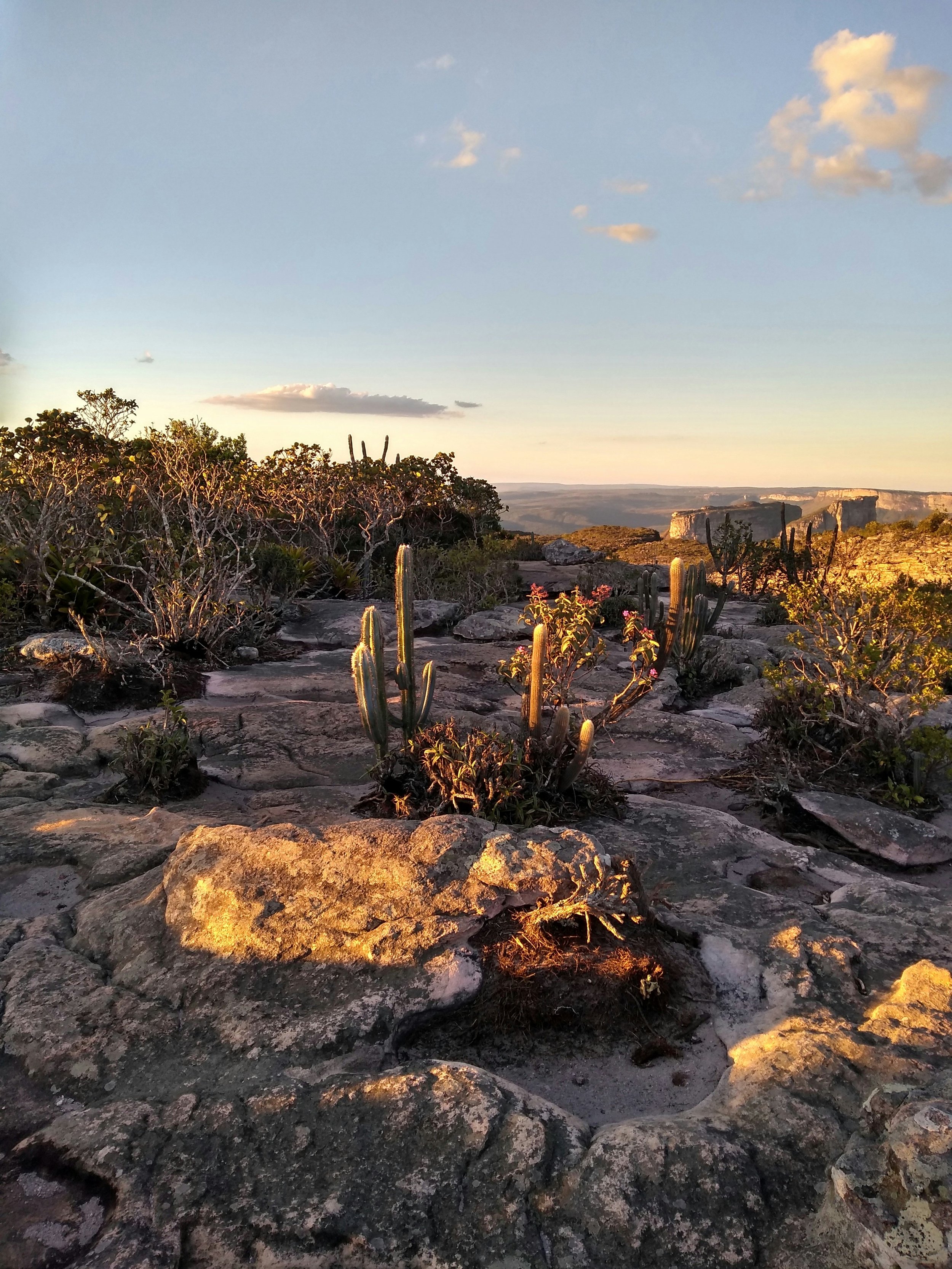 Sunset over a rocky desert landscape with cacti and sparse bushes, distant mesas, and a partly cloudy sky.