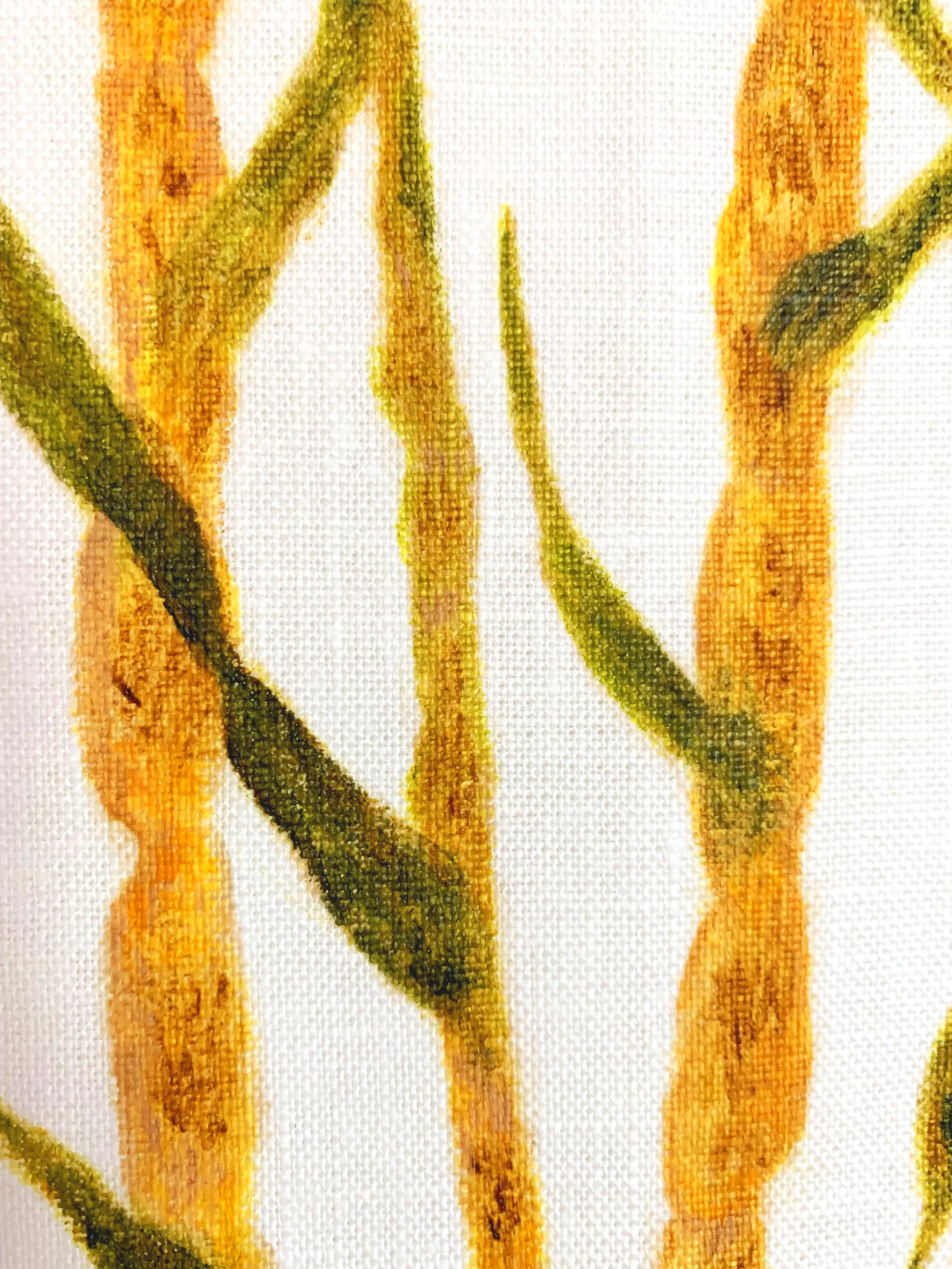 Sugarcane Memory I (2026) - Botanica Brasilis