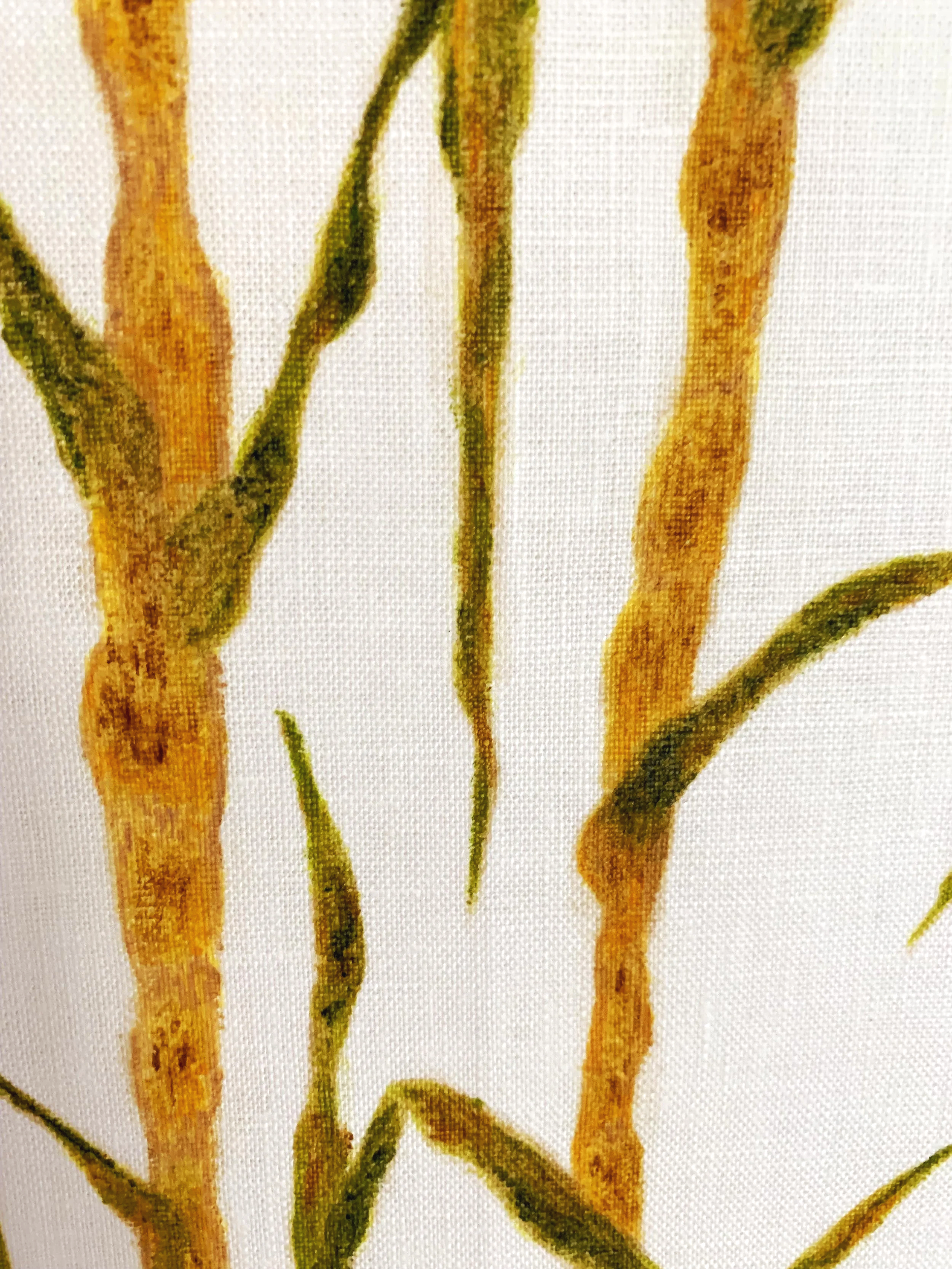 Sugarcane Memory I (2026) - Botanica Brasilis