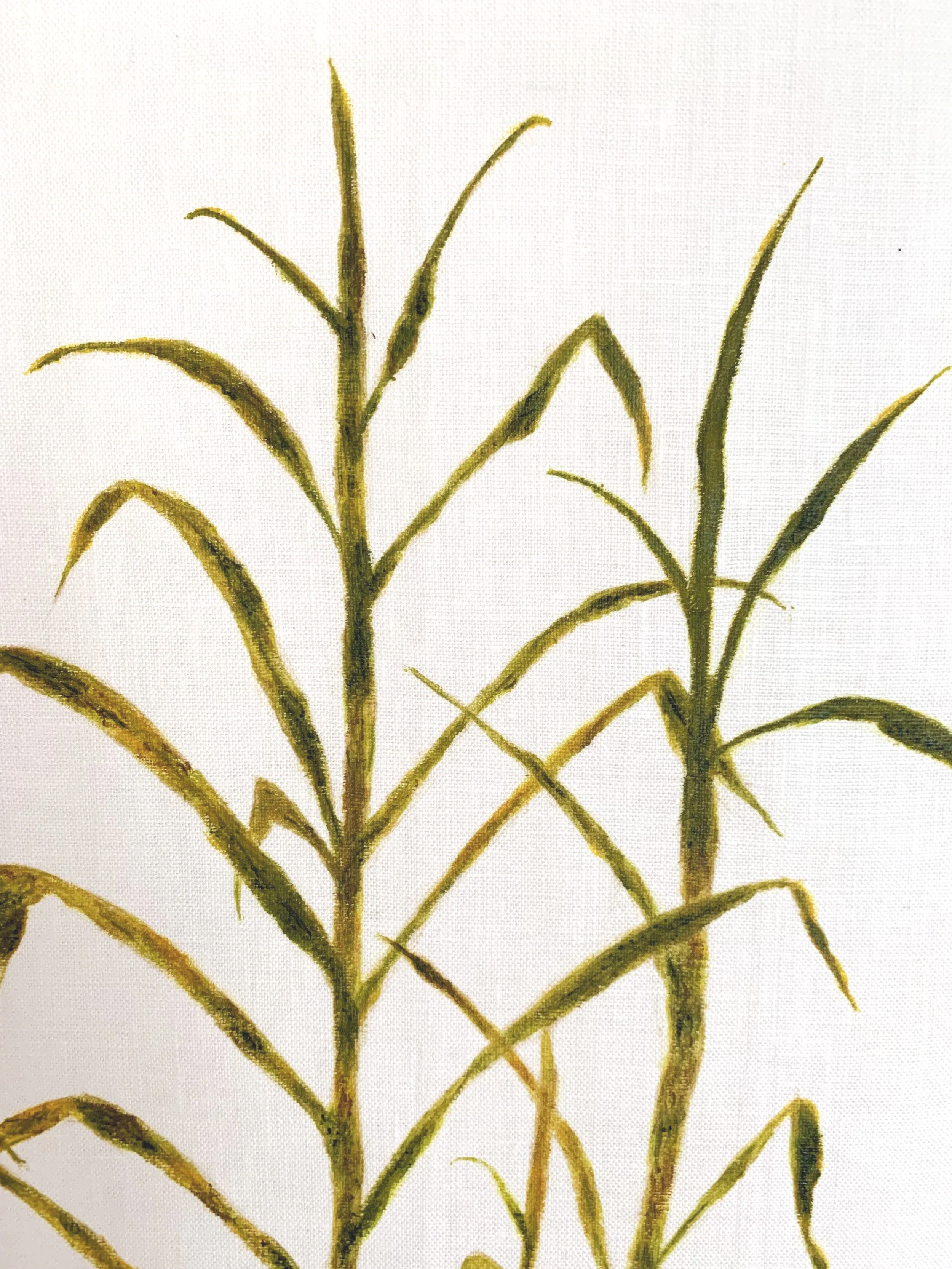Sugarcane Memory II (2026) - Botanica Brasilis