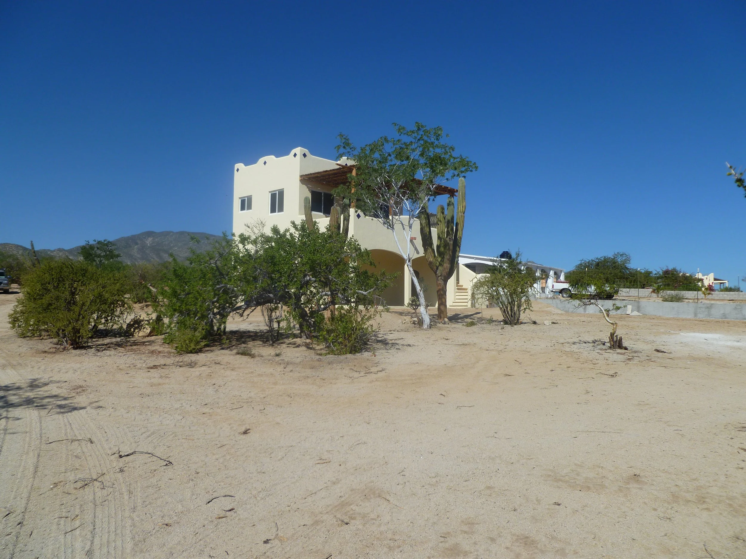 P1000390.JPG