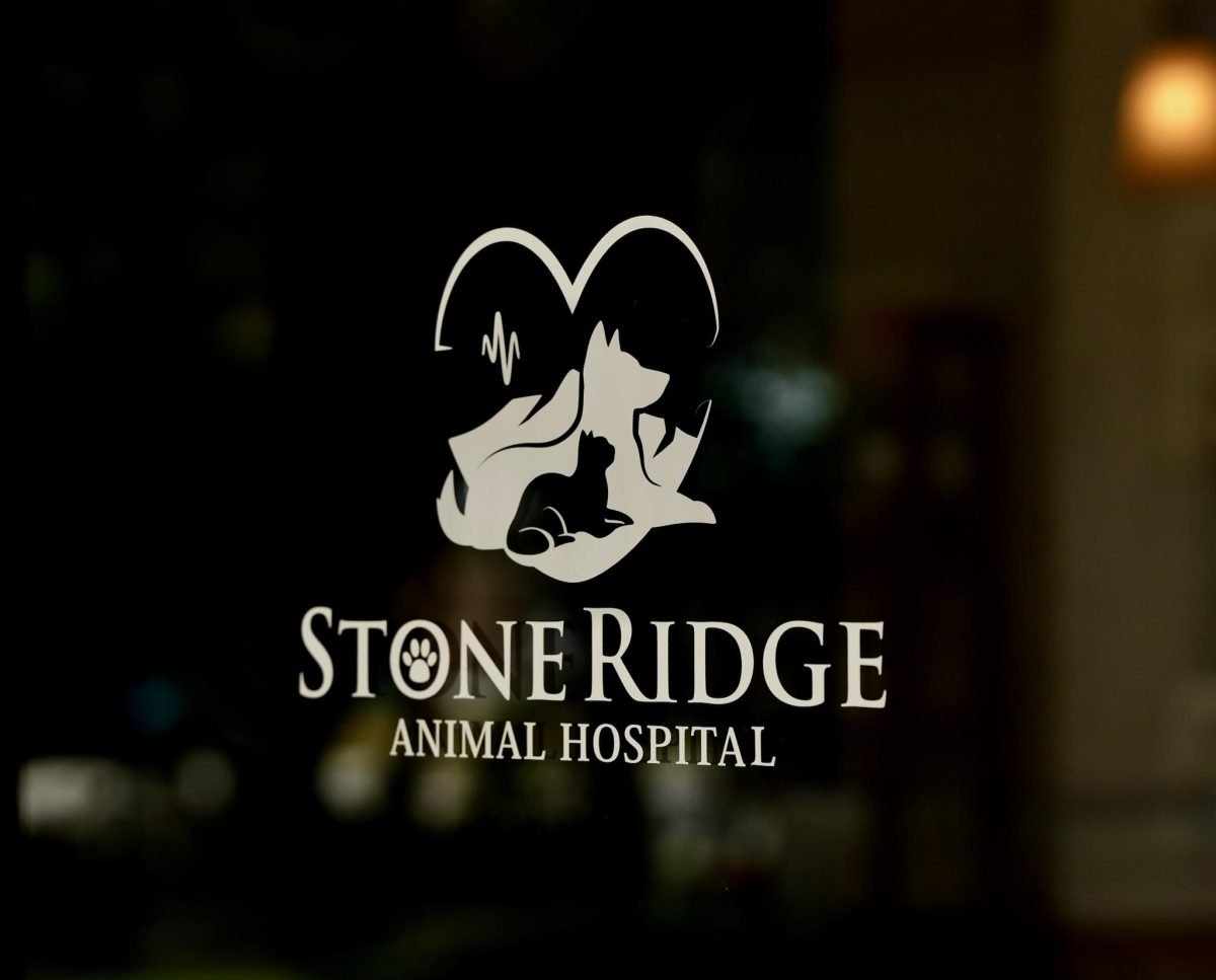 Stoneridge Vet Clinic