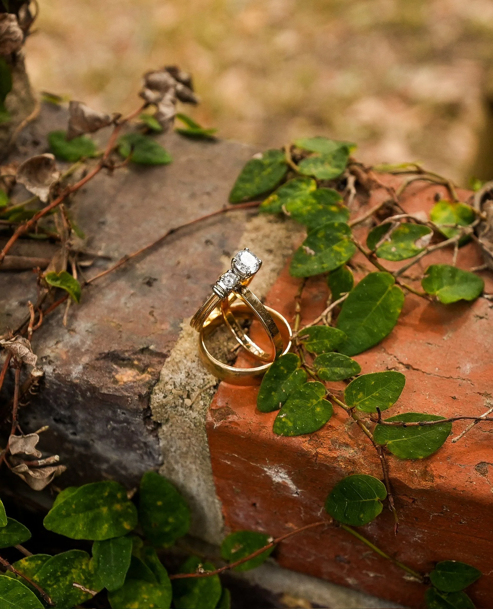 A close-up of a diamond engagement ring with a gold band placed on a brick and surrounded by green ivy leaves.