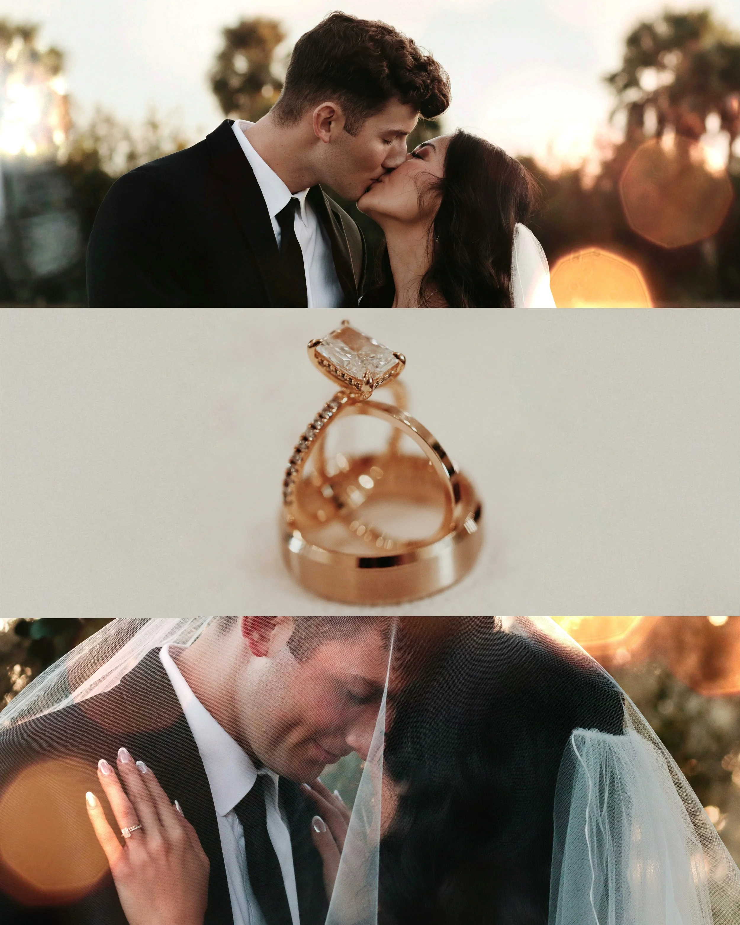 IMG_5559.JPG