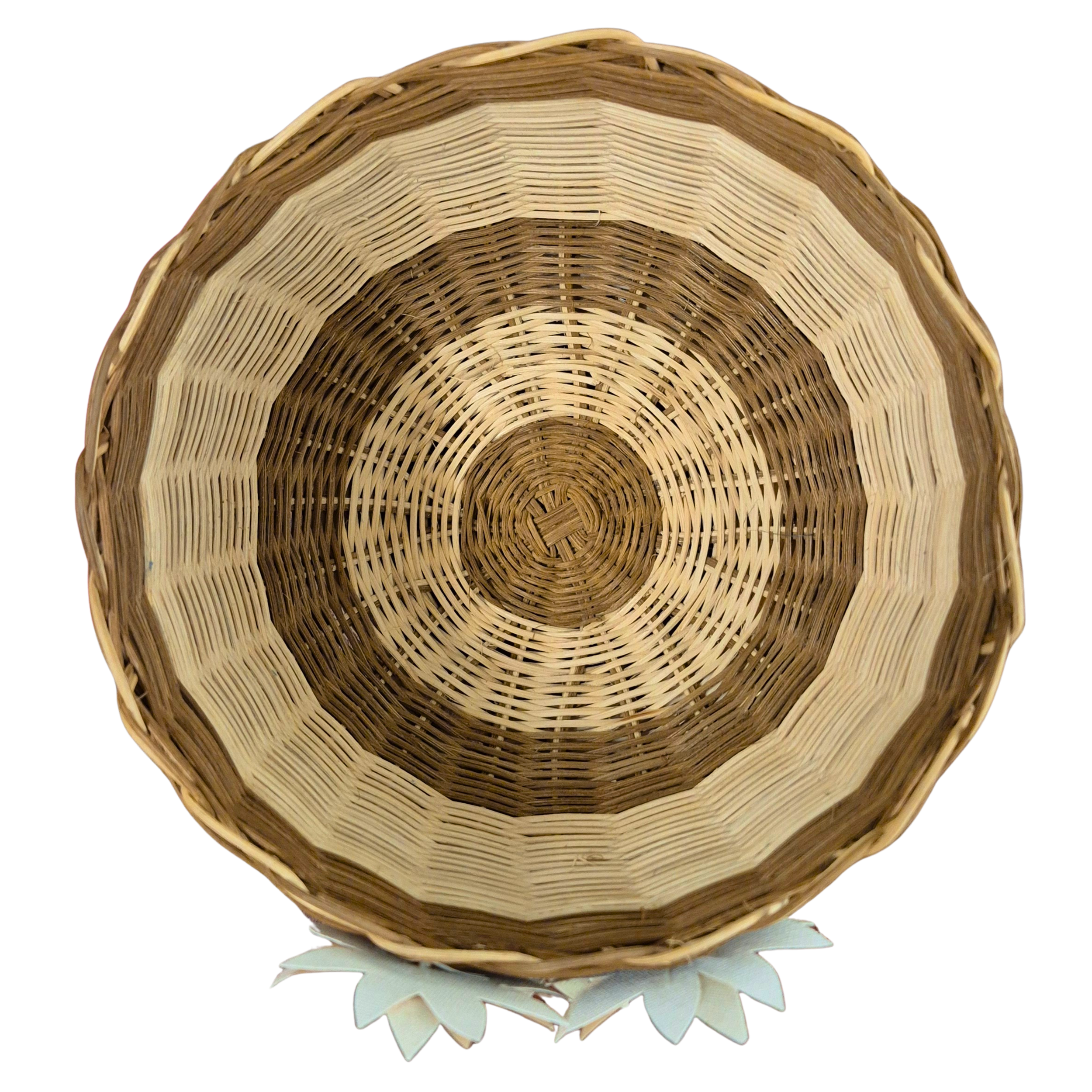 Untitled design (5).png