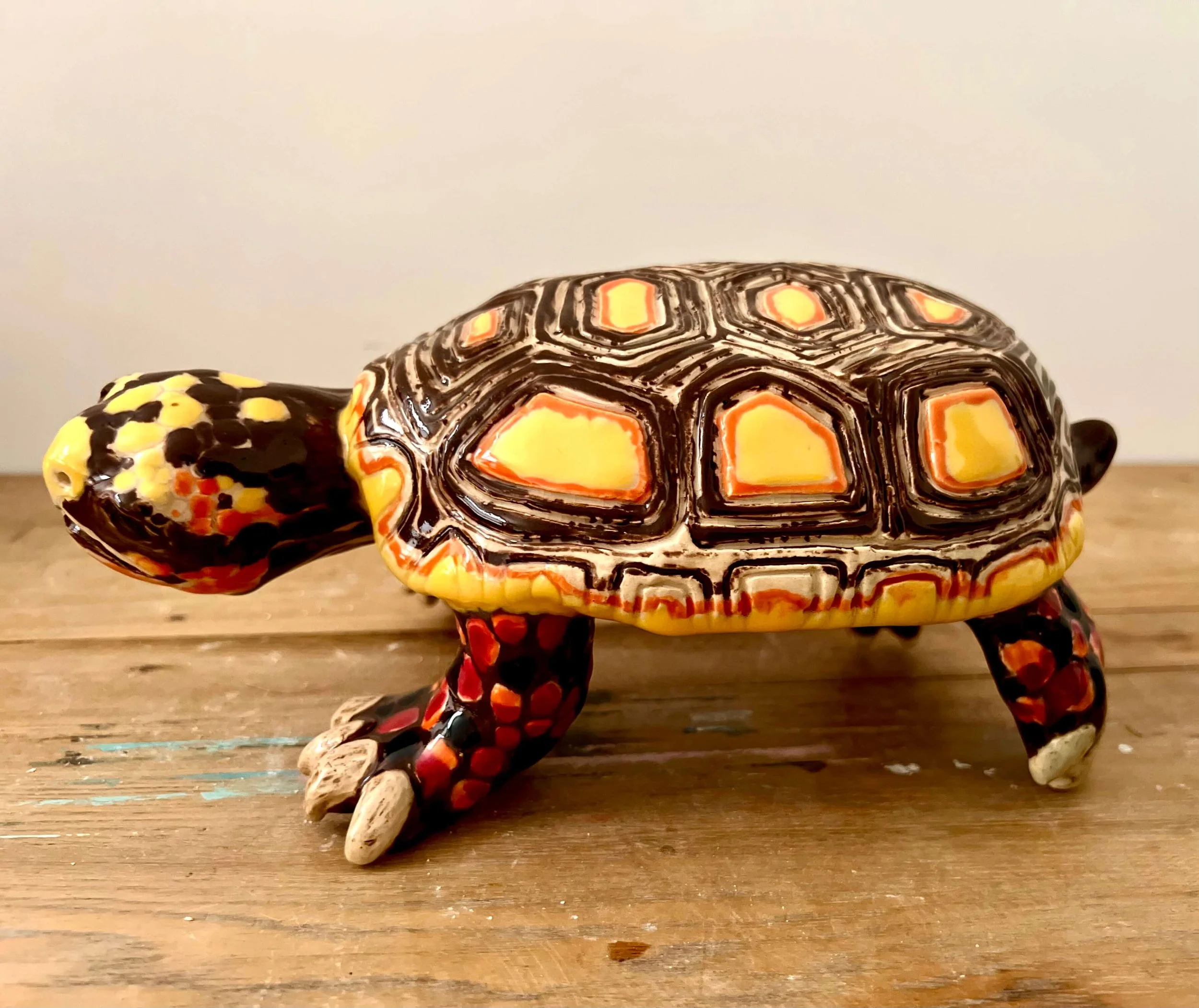 1. La Tortuga Morrocoy (left)  .jpeg