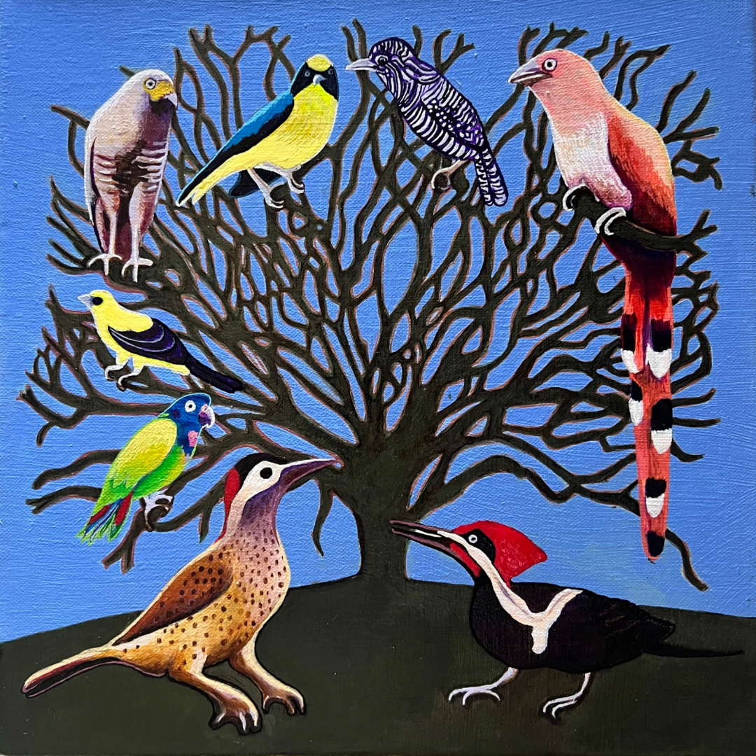 18. Saman de La Tierra de Oro 2024.png