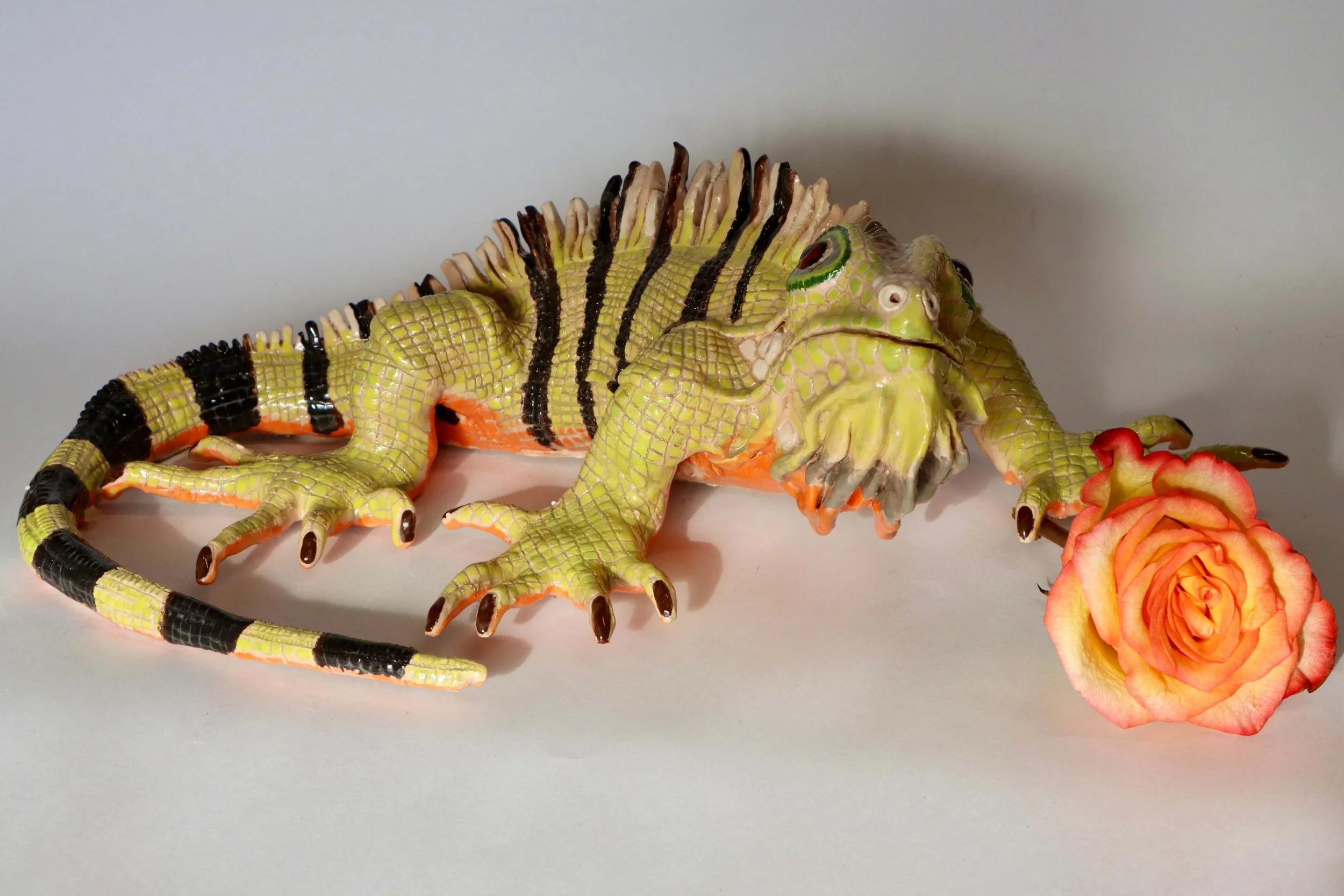 1. La Iguana y Rosa 2025.jpg