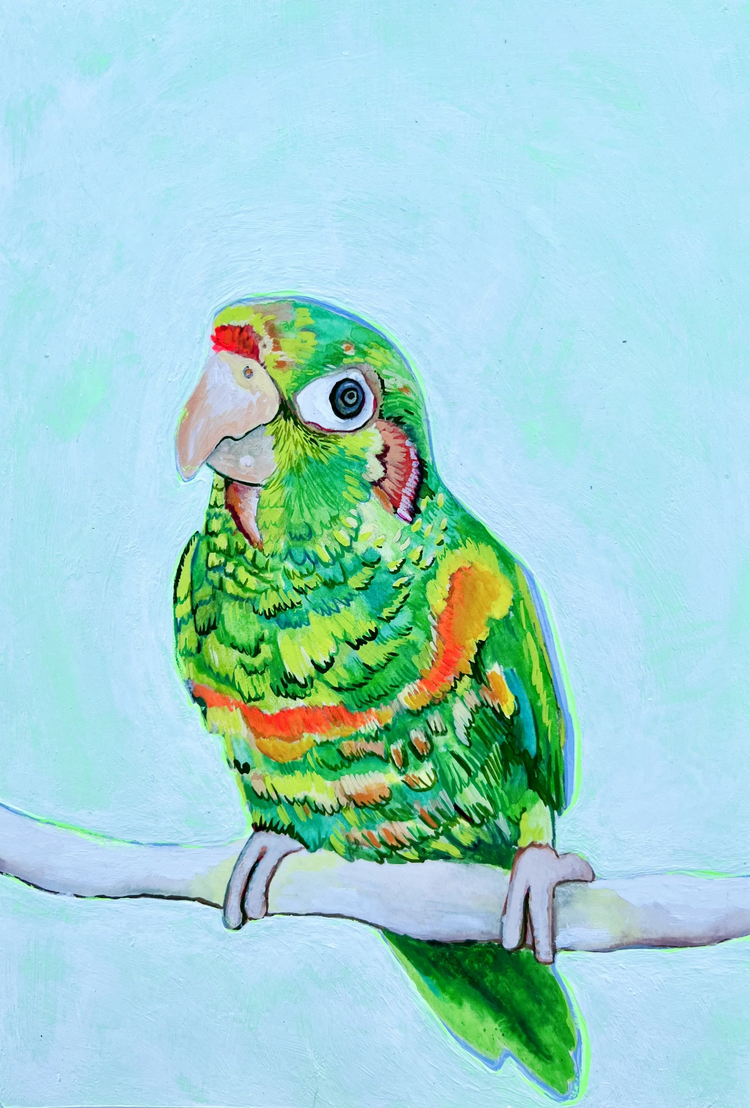 31. Perica de La Sierra .jpeg