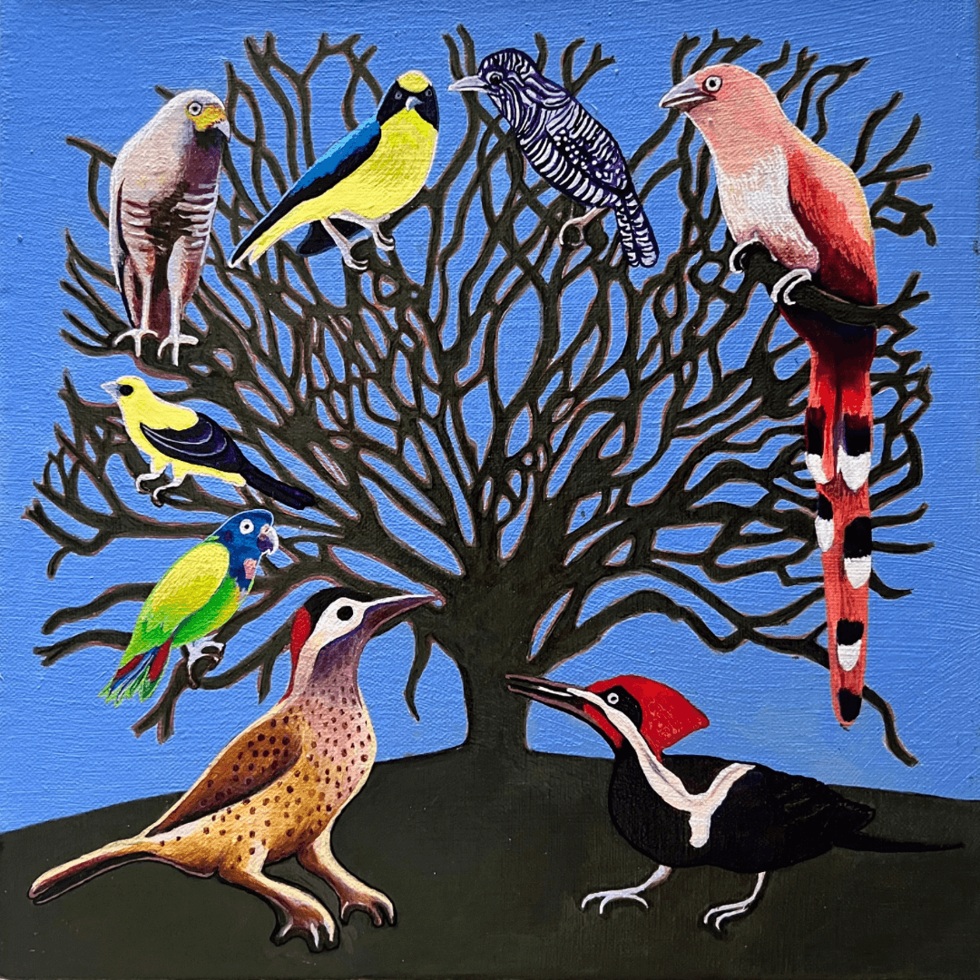 Saman of the Golden Land 2024