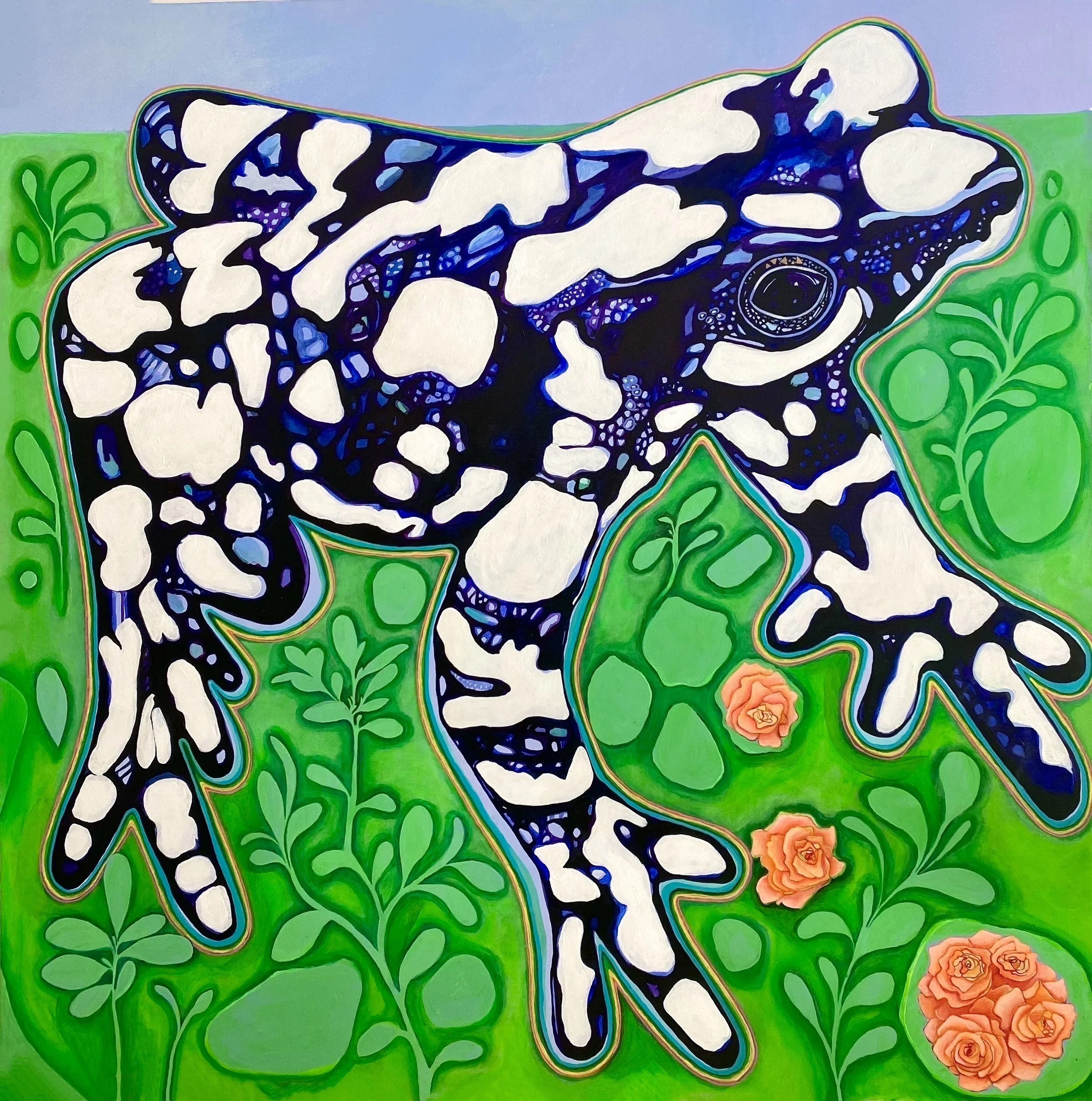 25. La Rana Arlequin de La Noche Estreallanda . Starry Nigh Harlequim Toad 2022 .jpeg