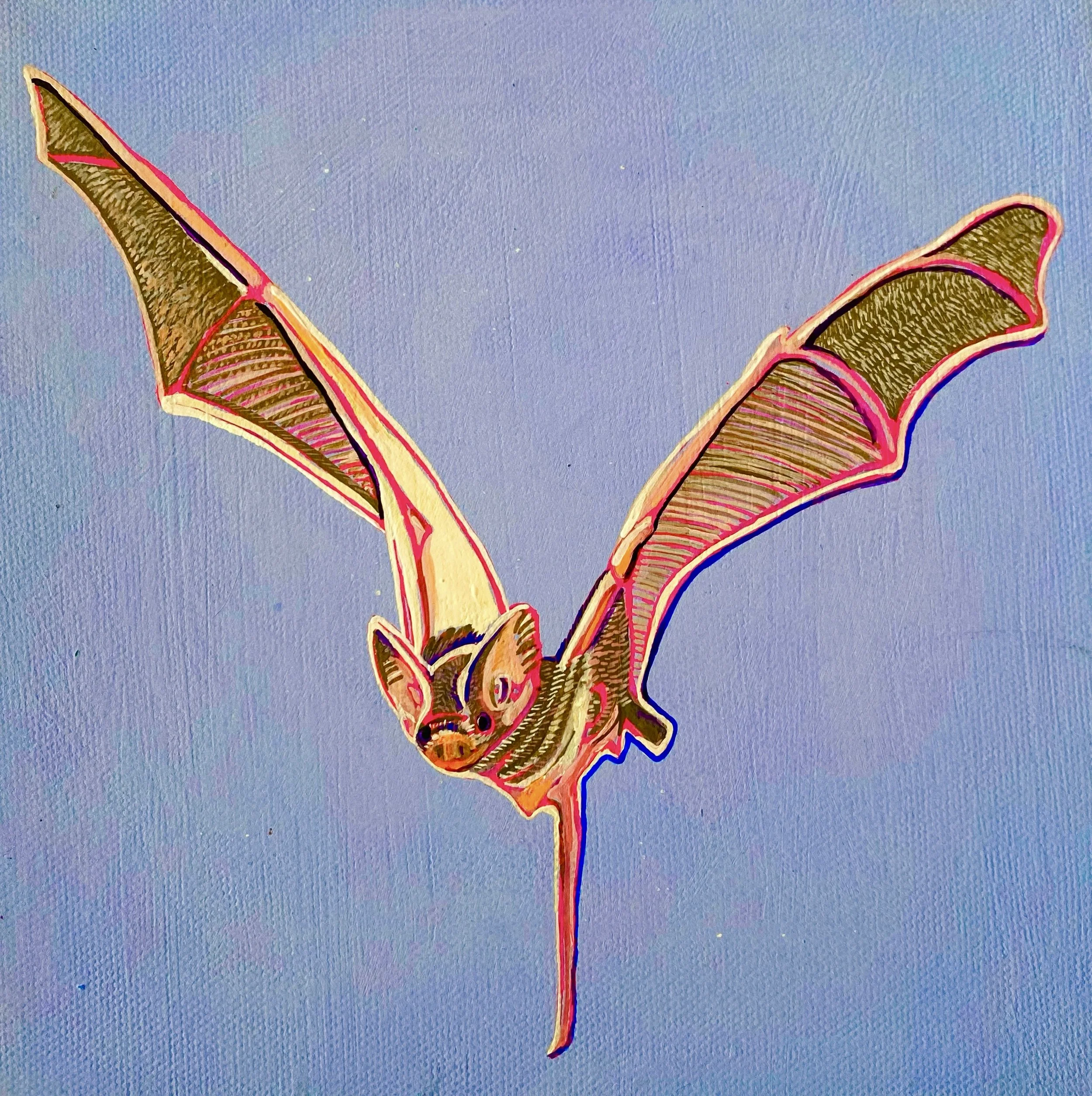 27. La Murcielaga Rosada 2022.jpg