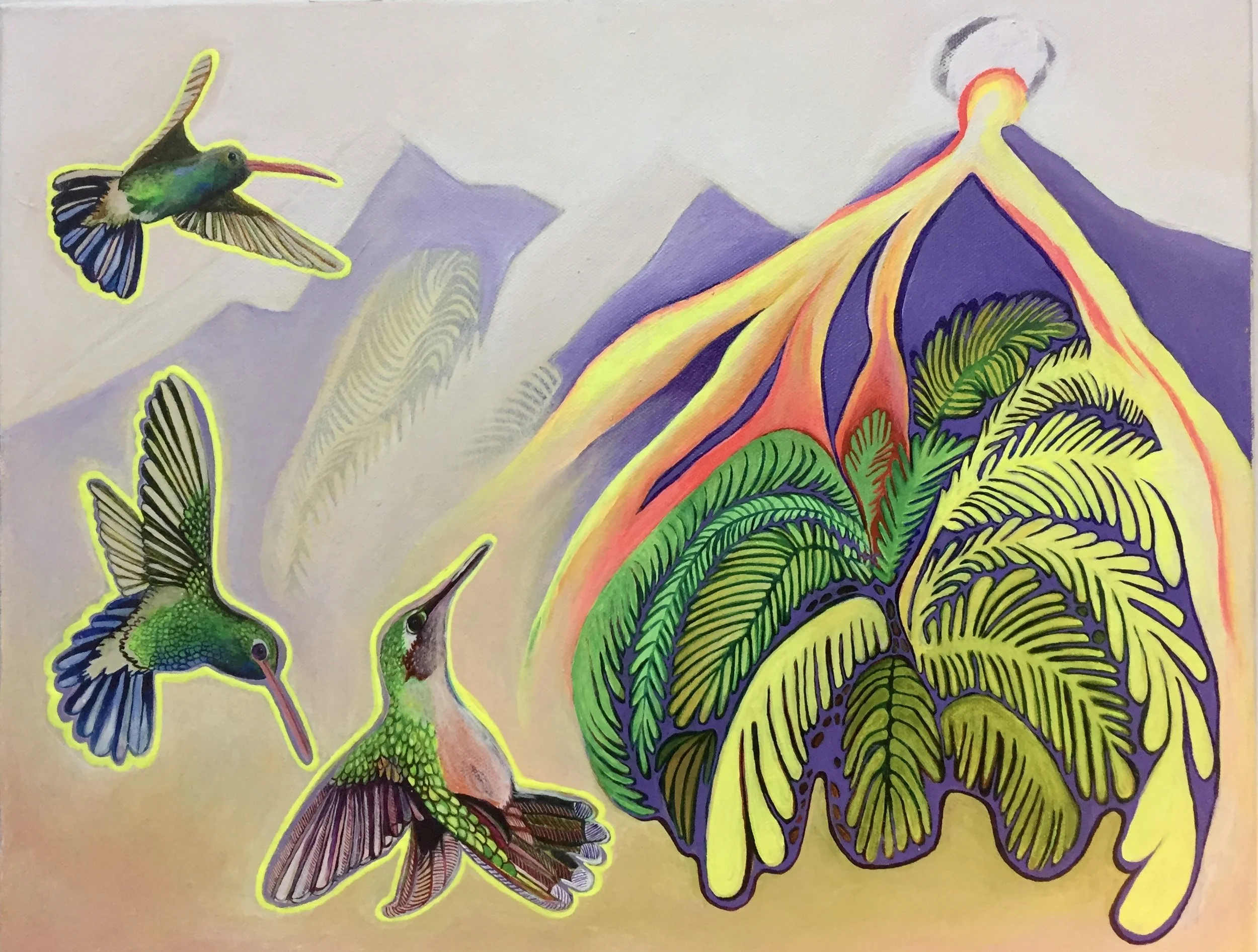 32. Volcano and Hummingbirds 2018.JPG