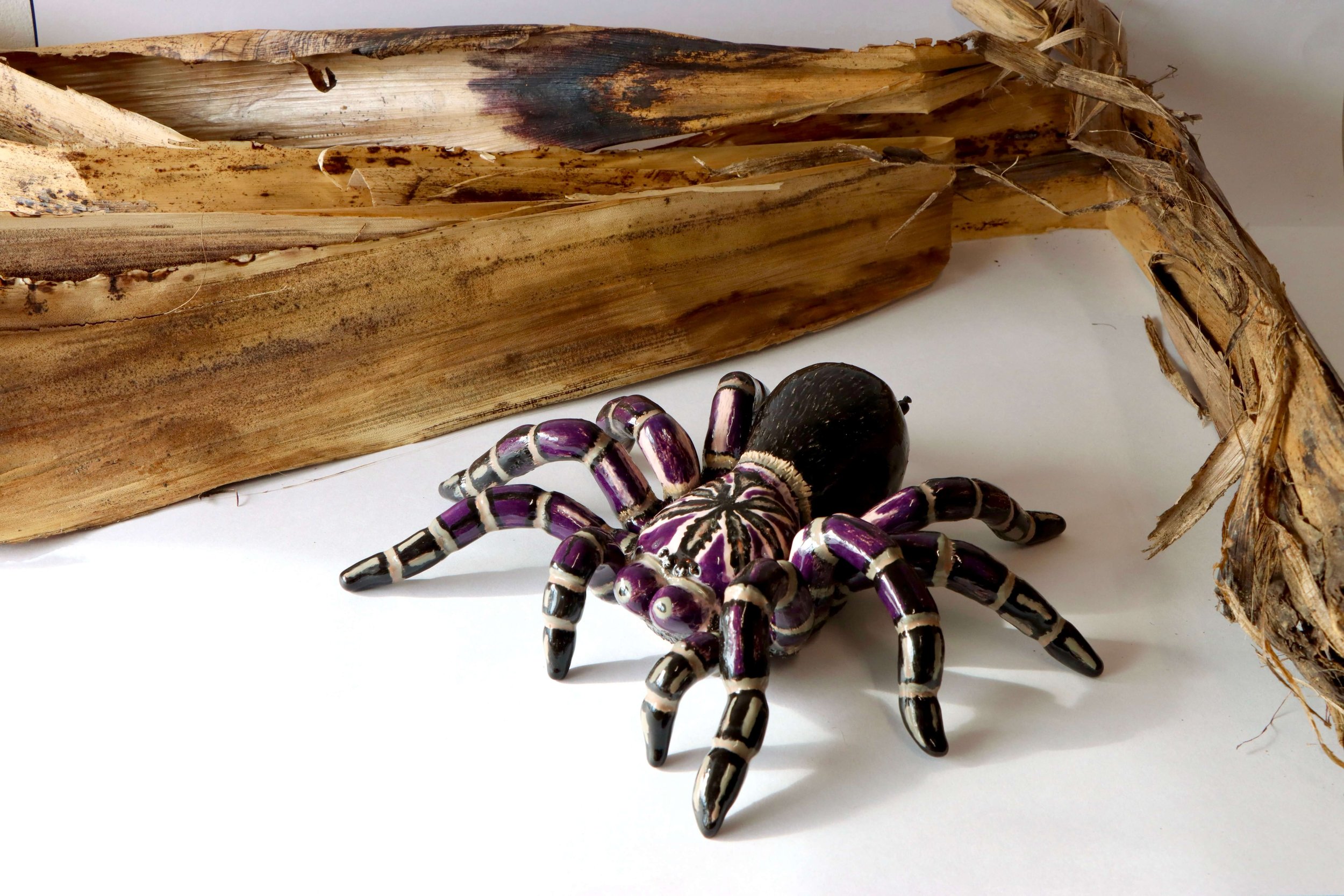1. La Tarantula y Hoja de Platano 2025.jpg