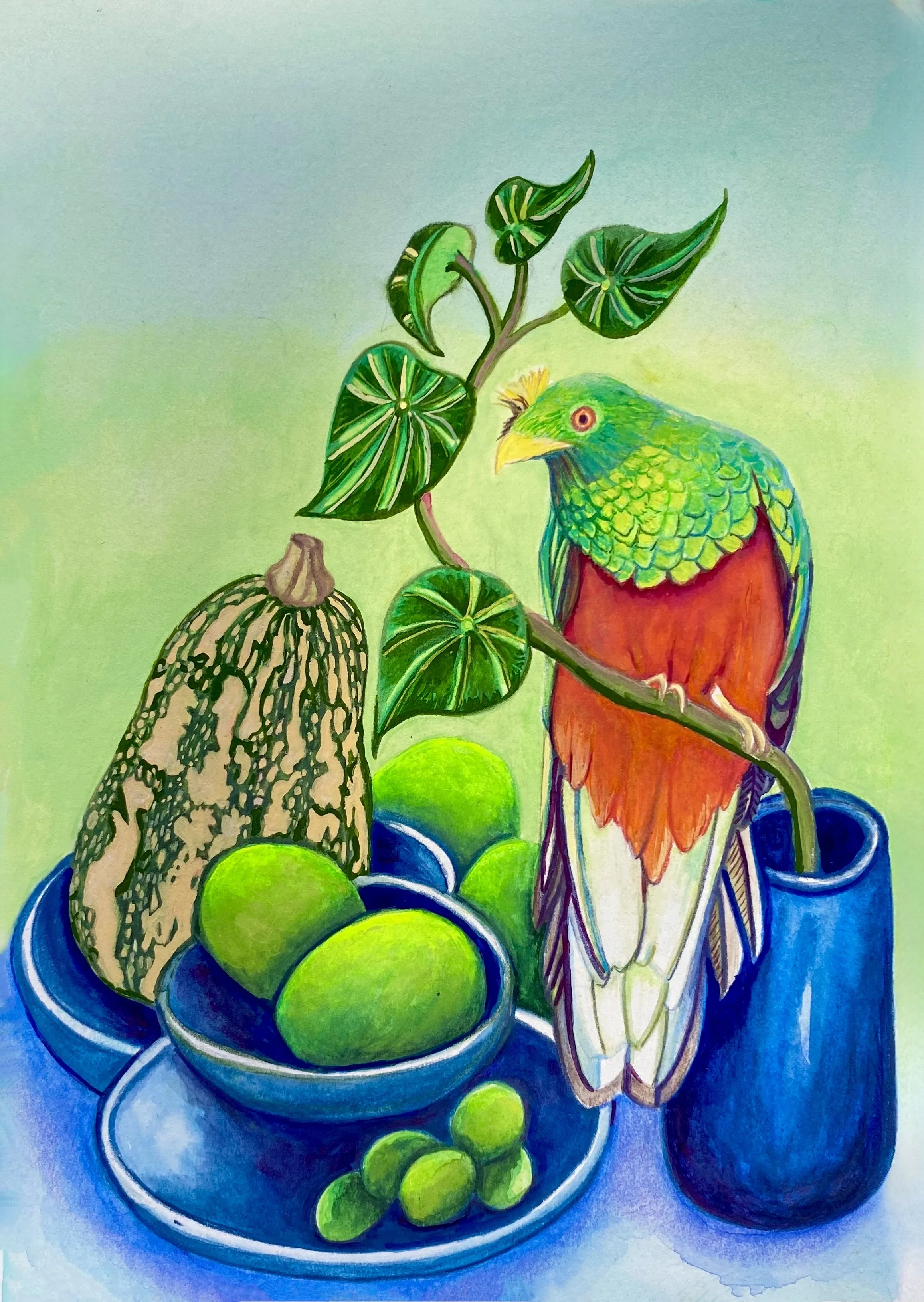 30. Quetzal de La Sierra .jpeg