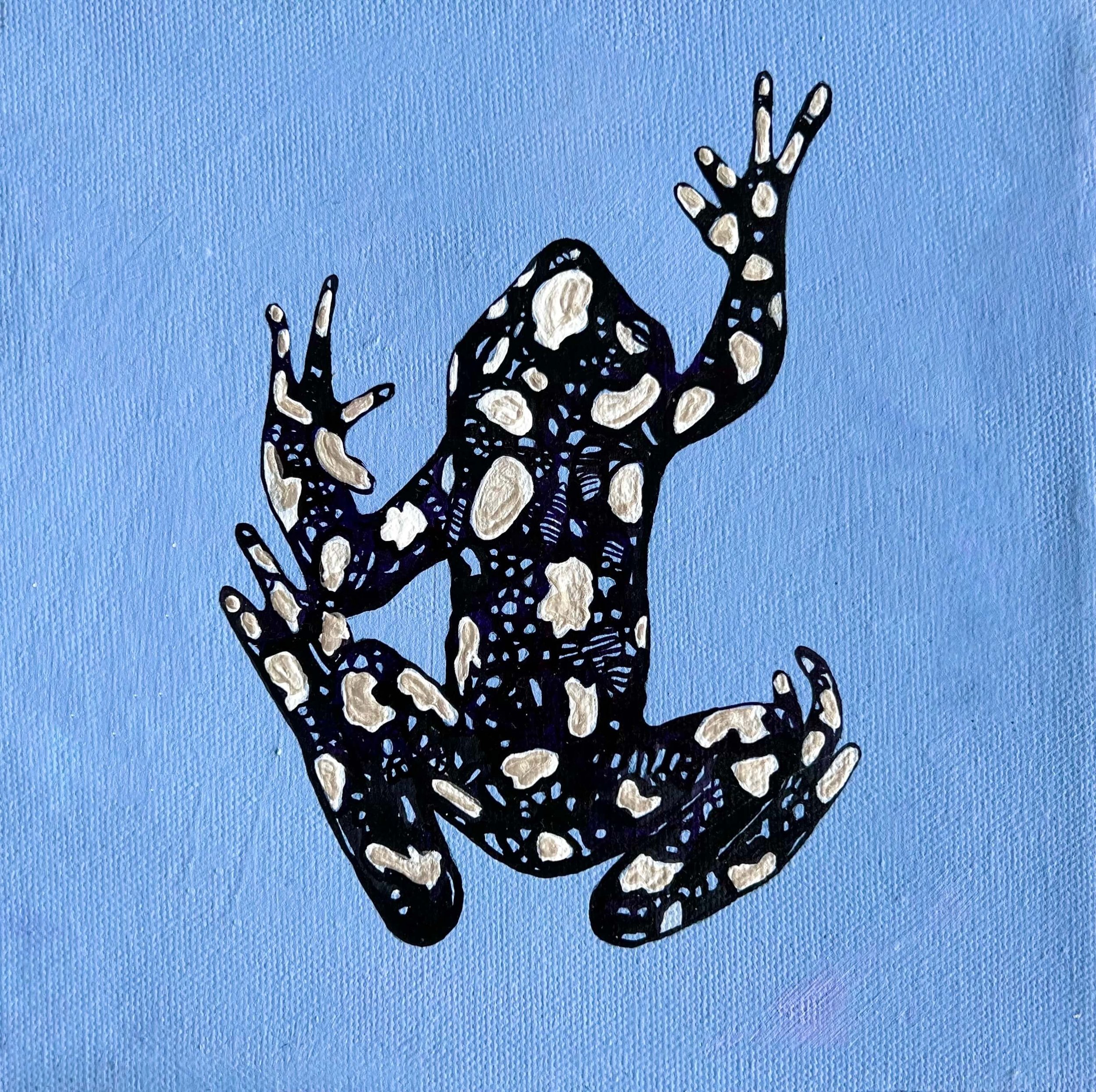 The Starry Night Toad 2023