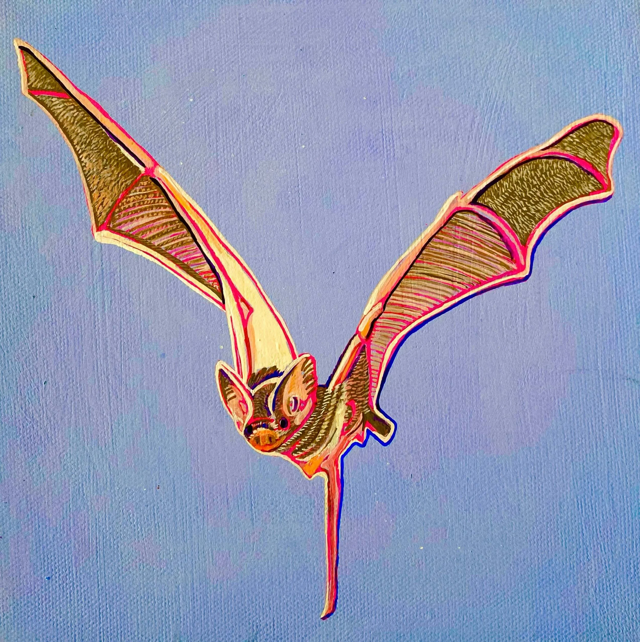 La Murcielaga Rosada 2022