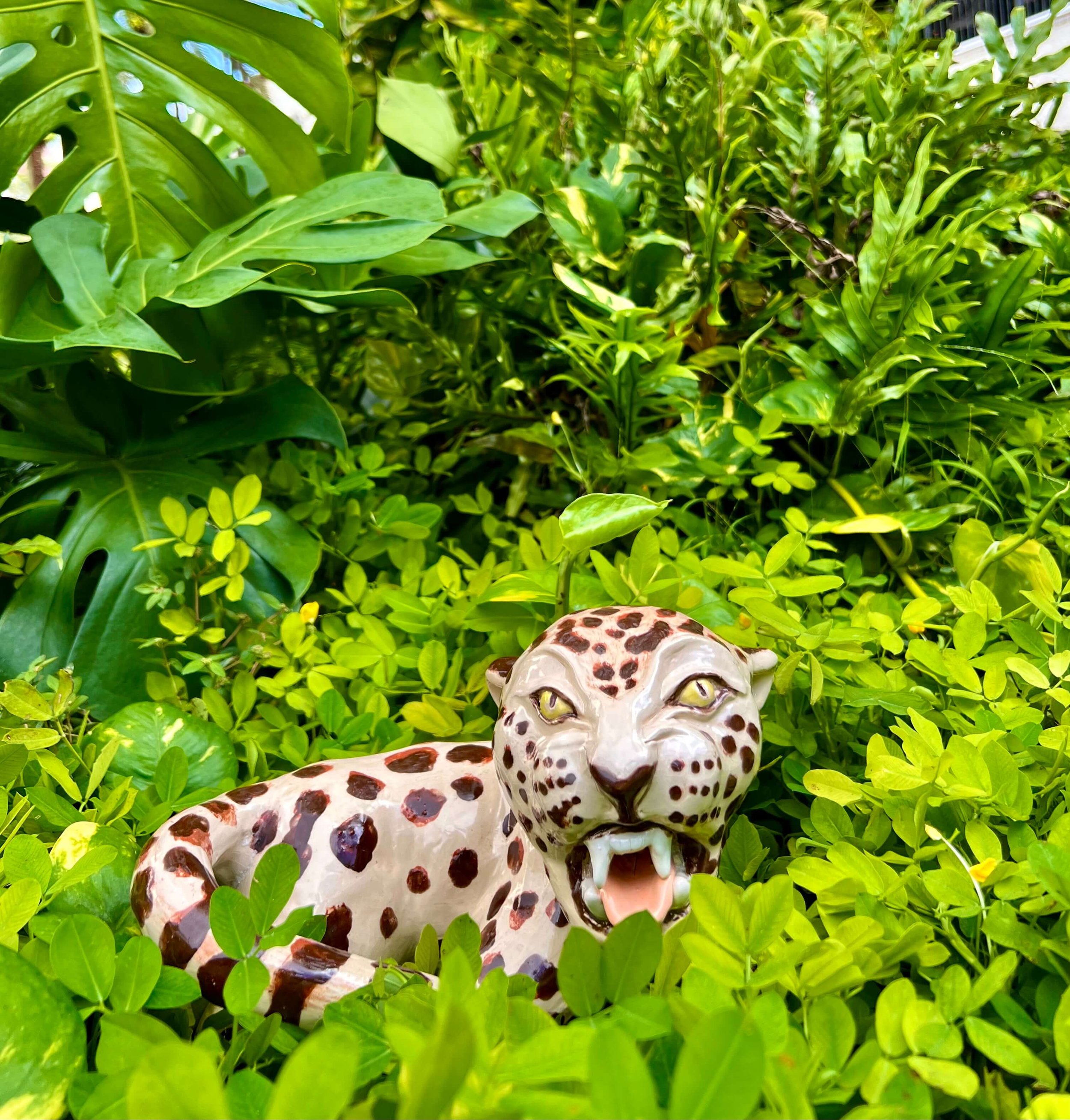 1. La Jaguara en el Jardin .jpeg