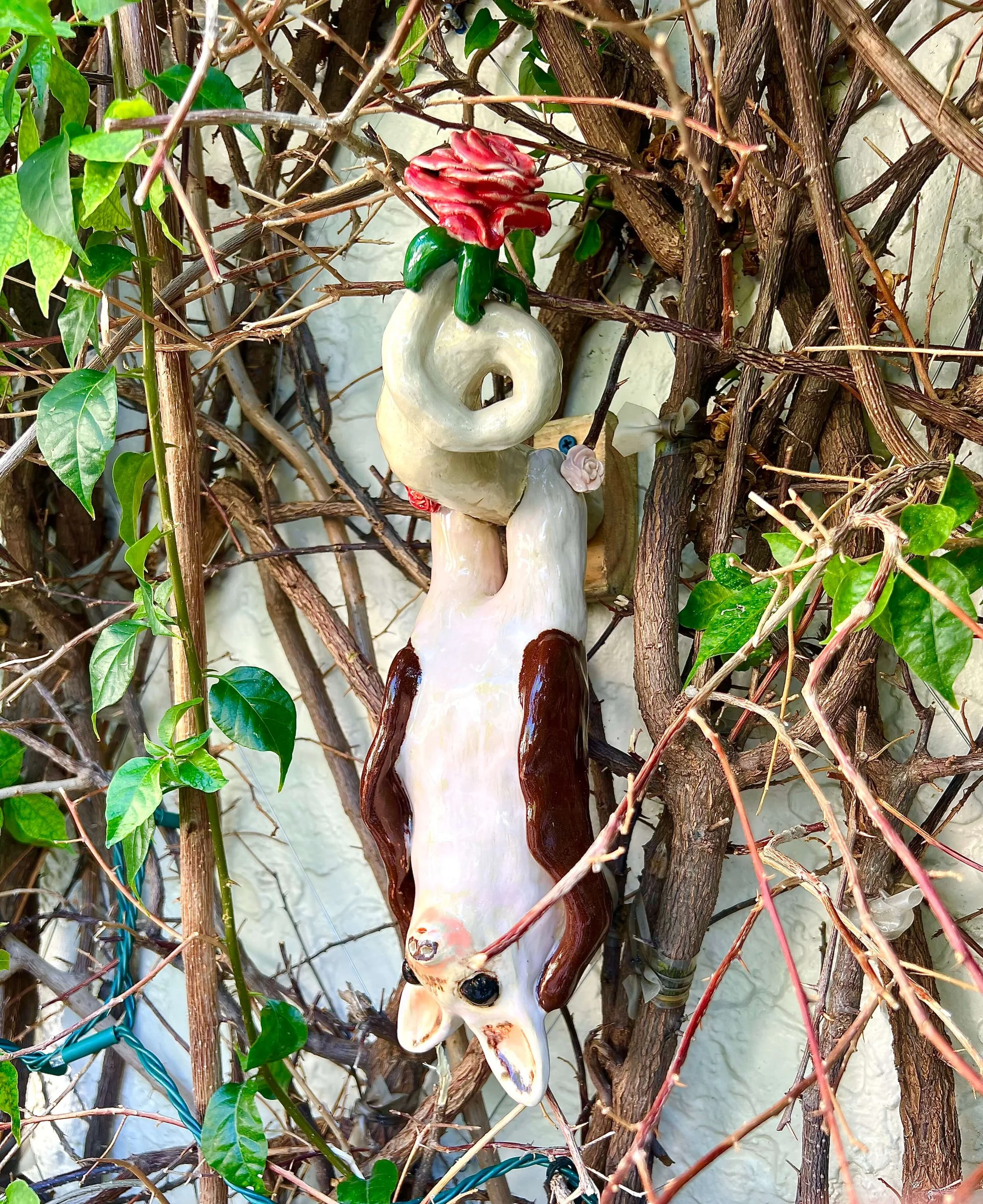 1. La Murcielaga Dorminda en el Jardin (lado).jpeg