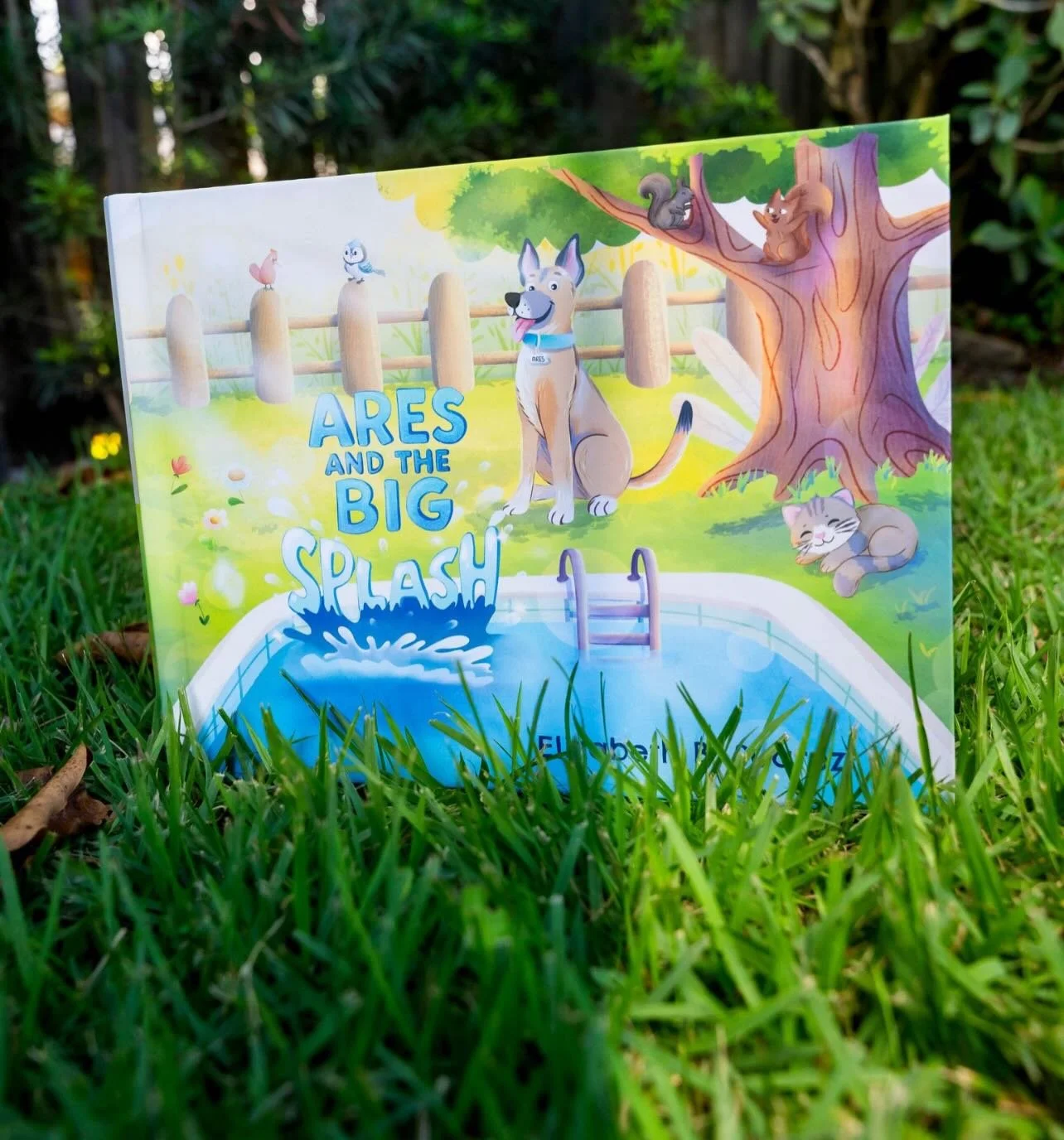 A story that started with love, loyalty, and a little splash 🐾💙📖

From backyard adventures to forever memories&mdash;Ares is just getting started.

He&rsquo;s ready for his next adventure 🐾 

#miami #childrensbook #author