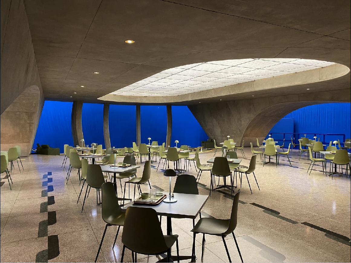 Screenshot 2025-06-07 at 11.24.24 AM.png