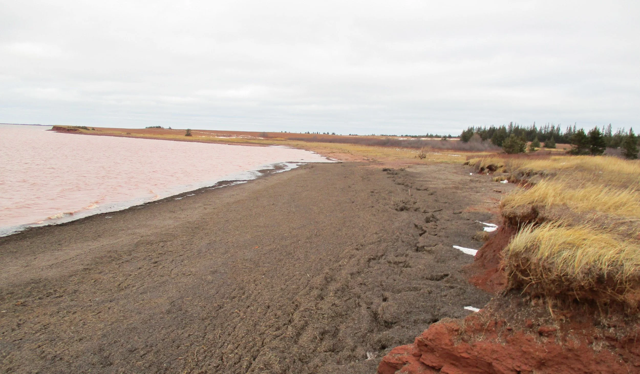 Cabot Shores: Malpeque Harbour Development