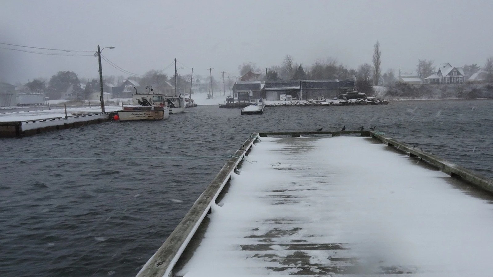 GeorgetownHarbour Initial Inspection