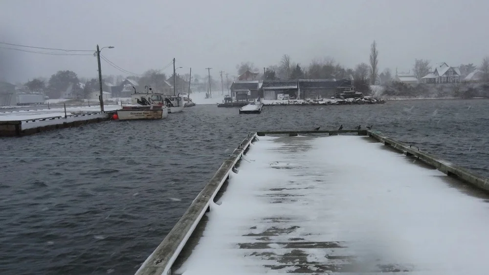 GeorgetownHarbour Initial Inspection