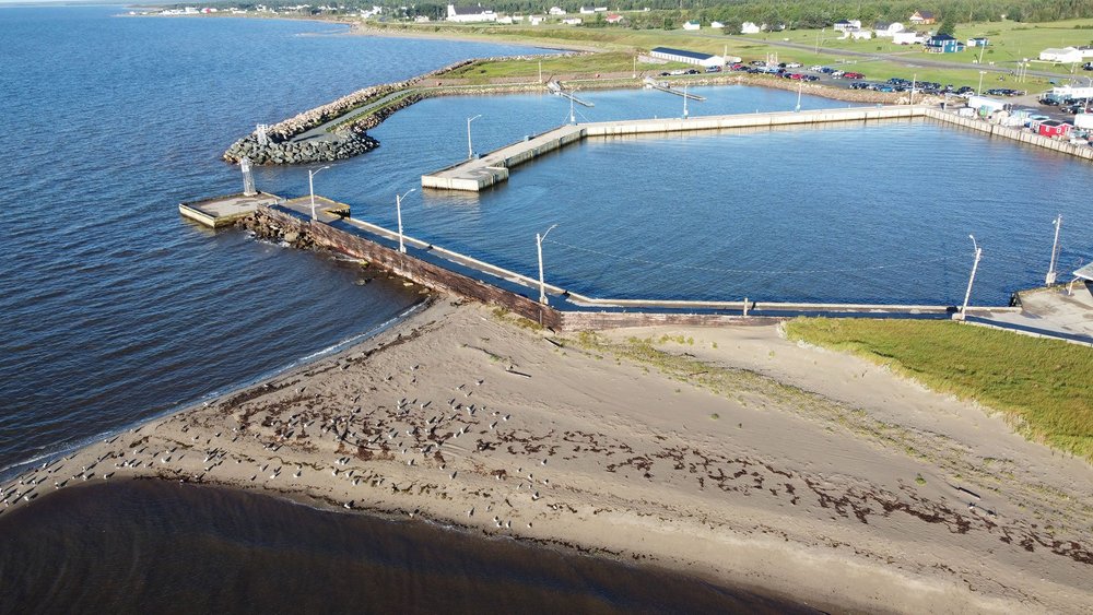 Aerial view of Pointe-Sapin Harbour