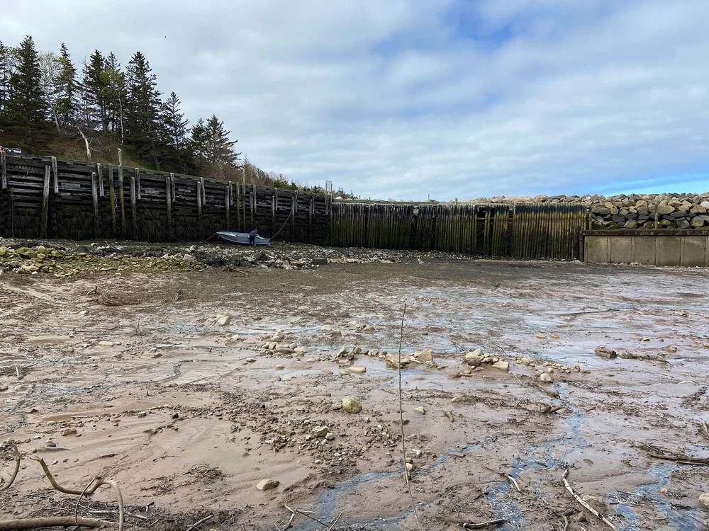 Hampton Harbour Timber Structures