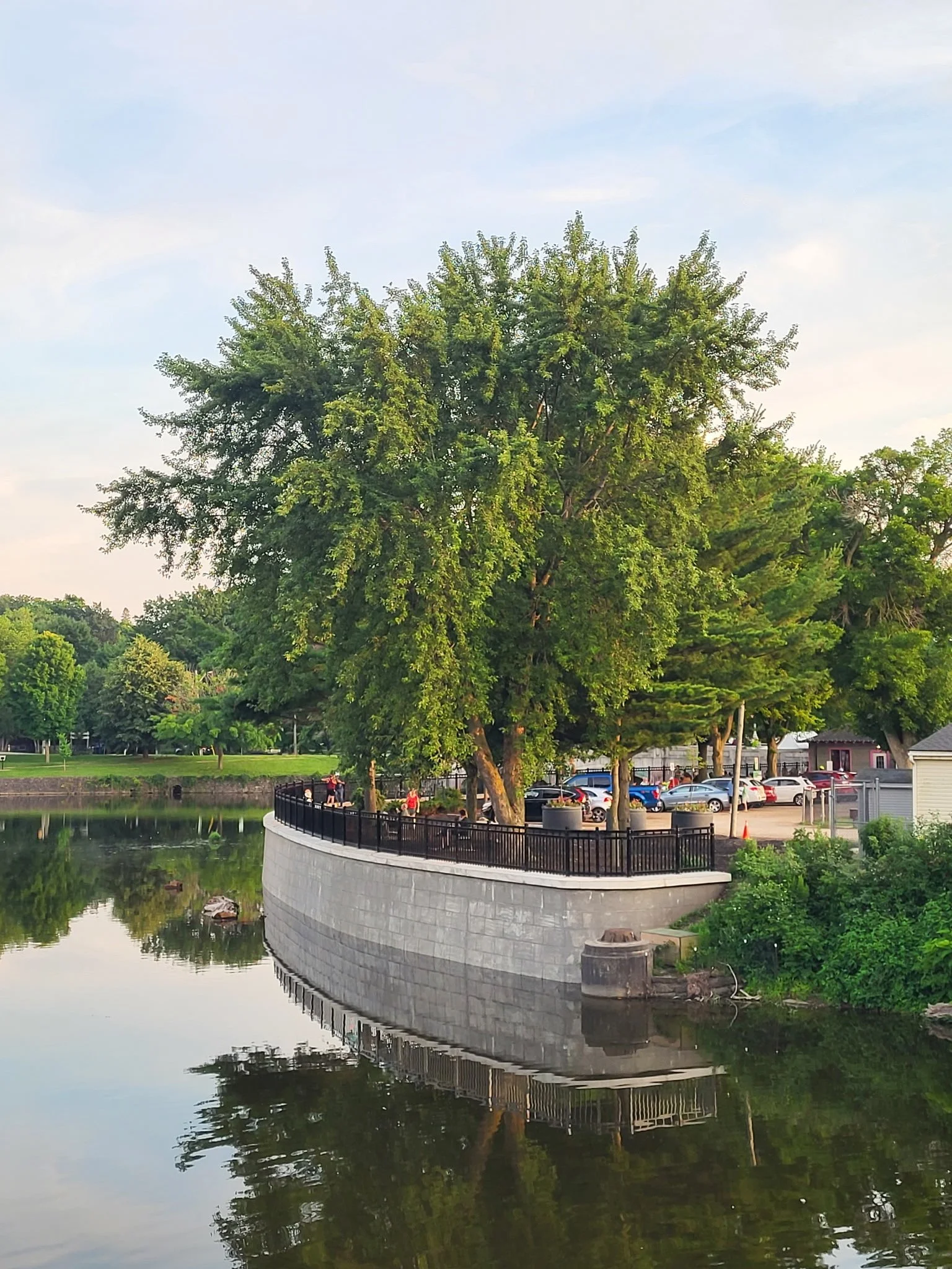 The river has returned to its normal level. The completed Boathouse retaining wall winds around the landscape, and a large tree overhangs the river from above the wall. Guelph, Ontario 2025