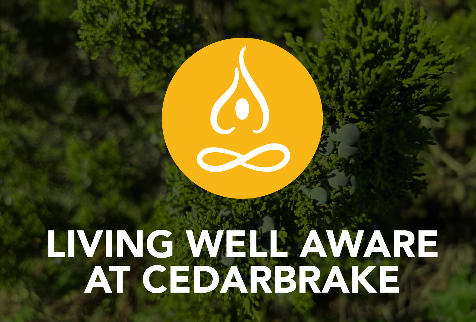 Living WELL Aware at Cedarbrake 