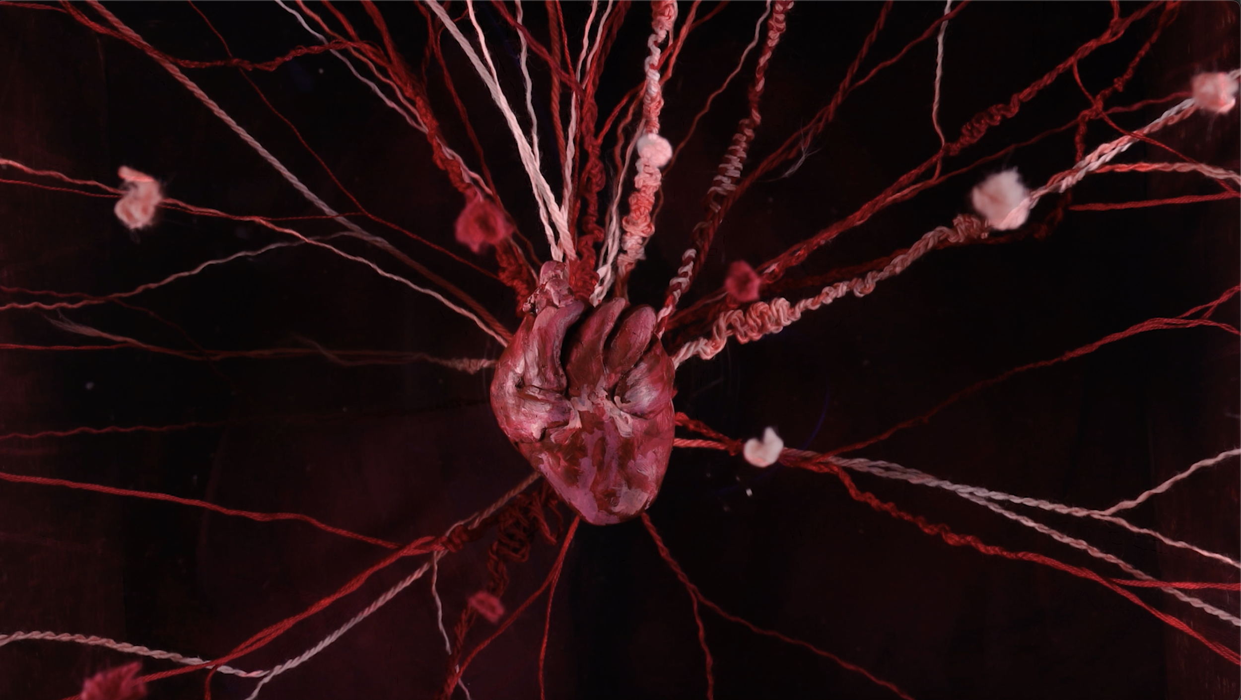 Screenshot 2024-04-23 at 10.24.38 PM.png