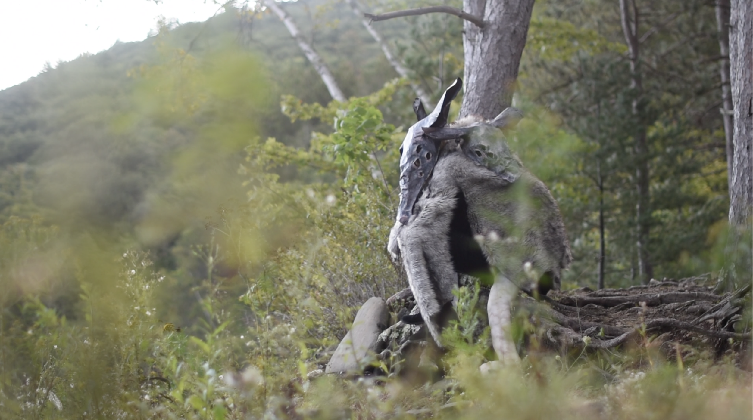 Screen Shot 2023-09-20 at 11.46.14 PM.png