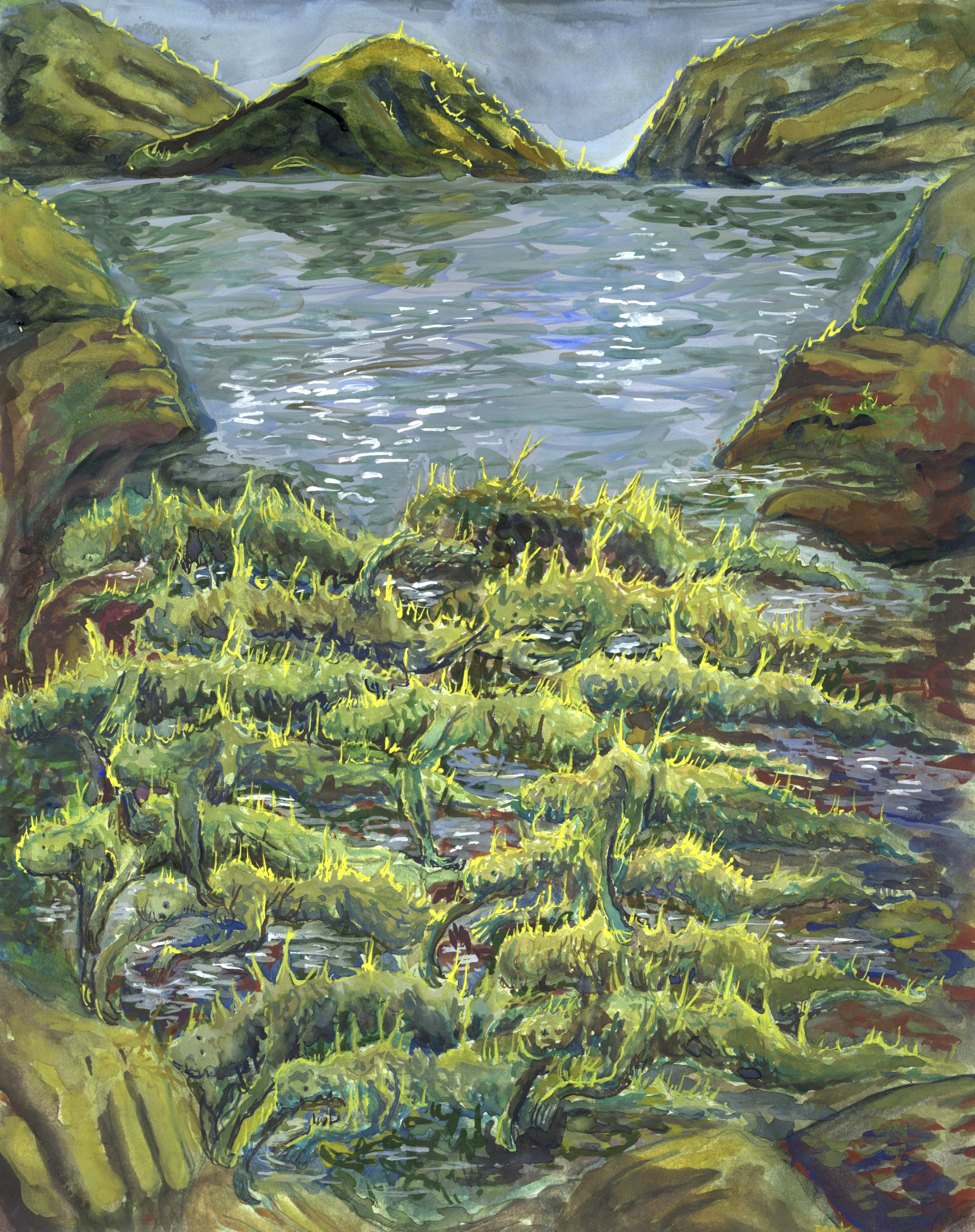 swampscan2.jpg