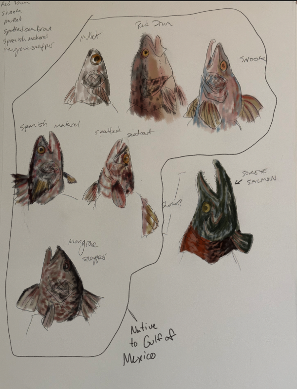 Screen Shot 2023-11-19 at 2.00.52 PM.png