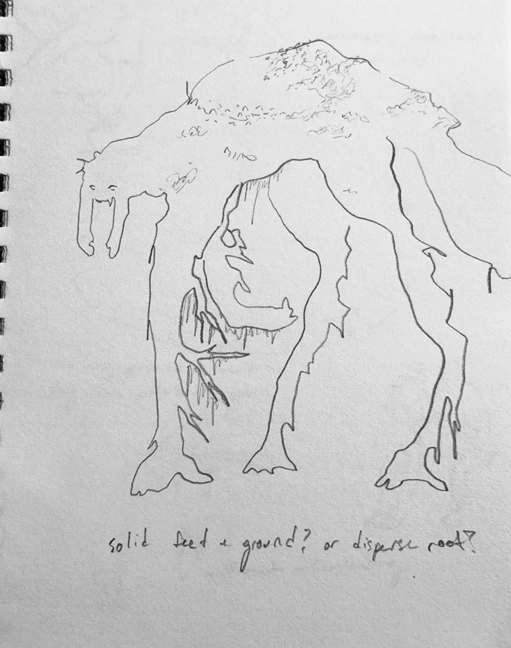 IMG_0484 2 Large.jpeg