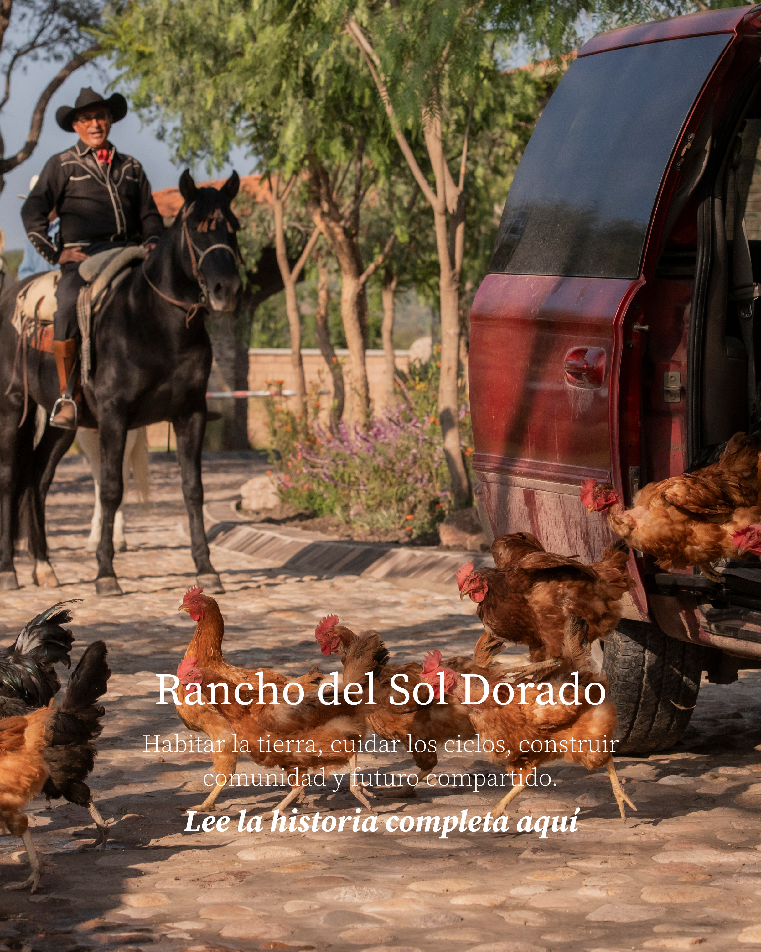 Rancho del Sol Dorado.png