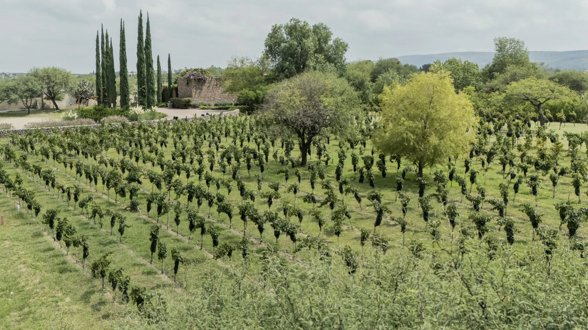 VALLE DE LOS SENDEROS