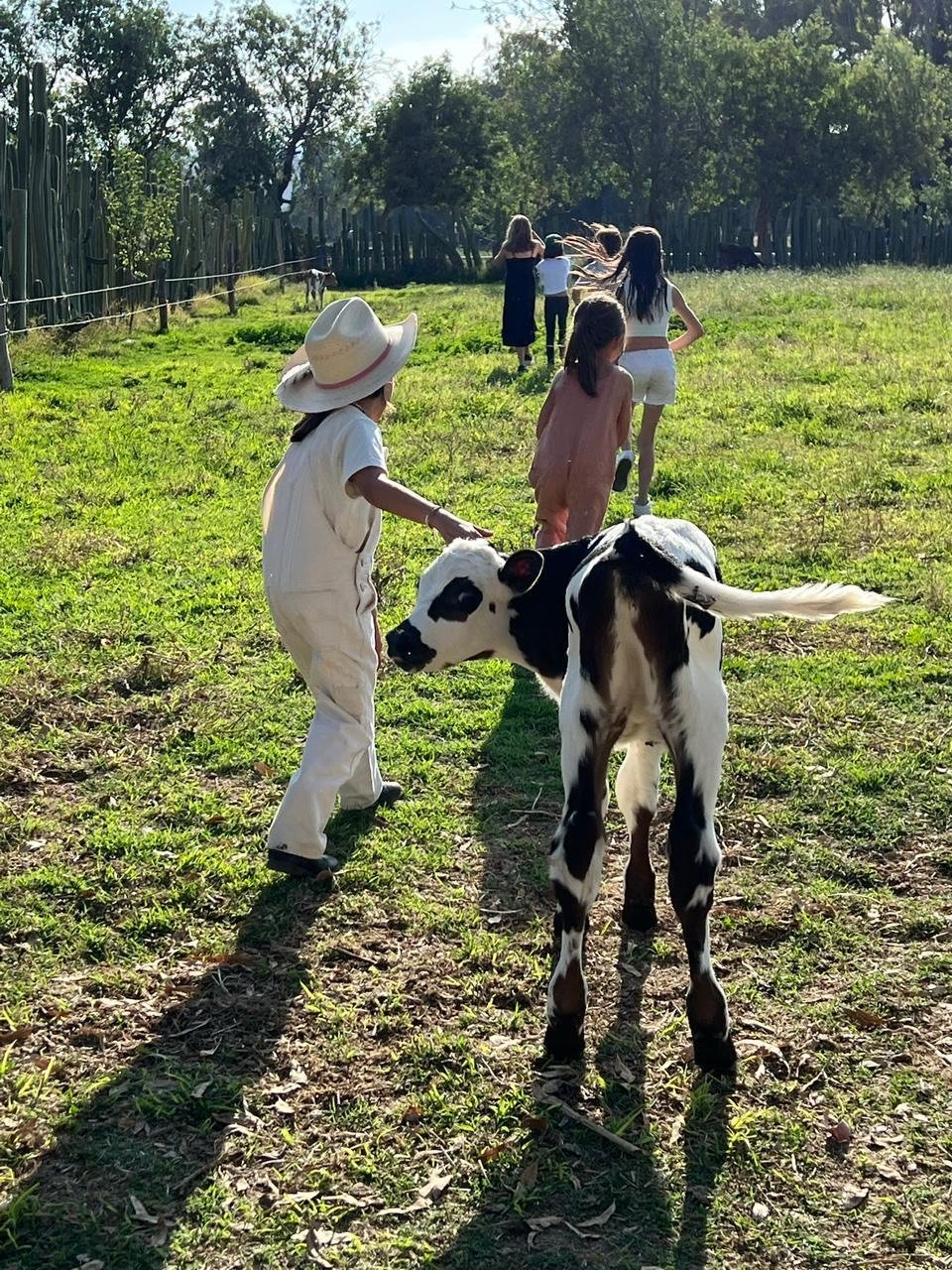 La Factoría apuesta por libre pastoreo y agricultura regenerativa 