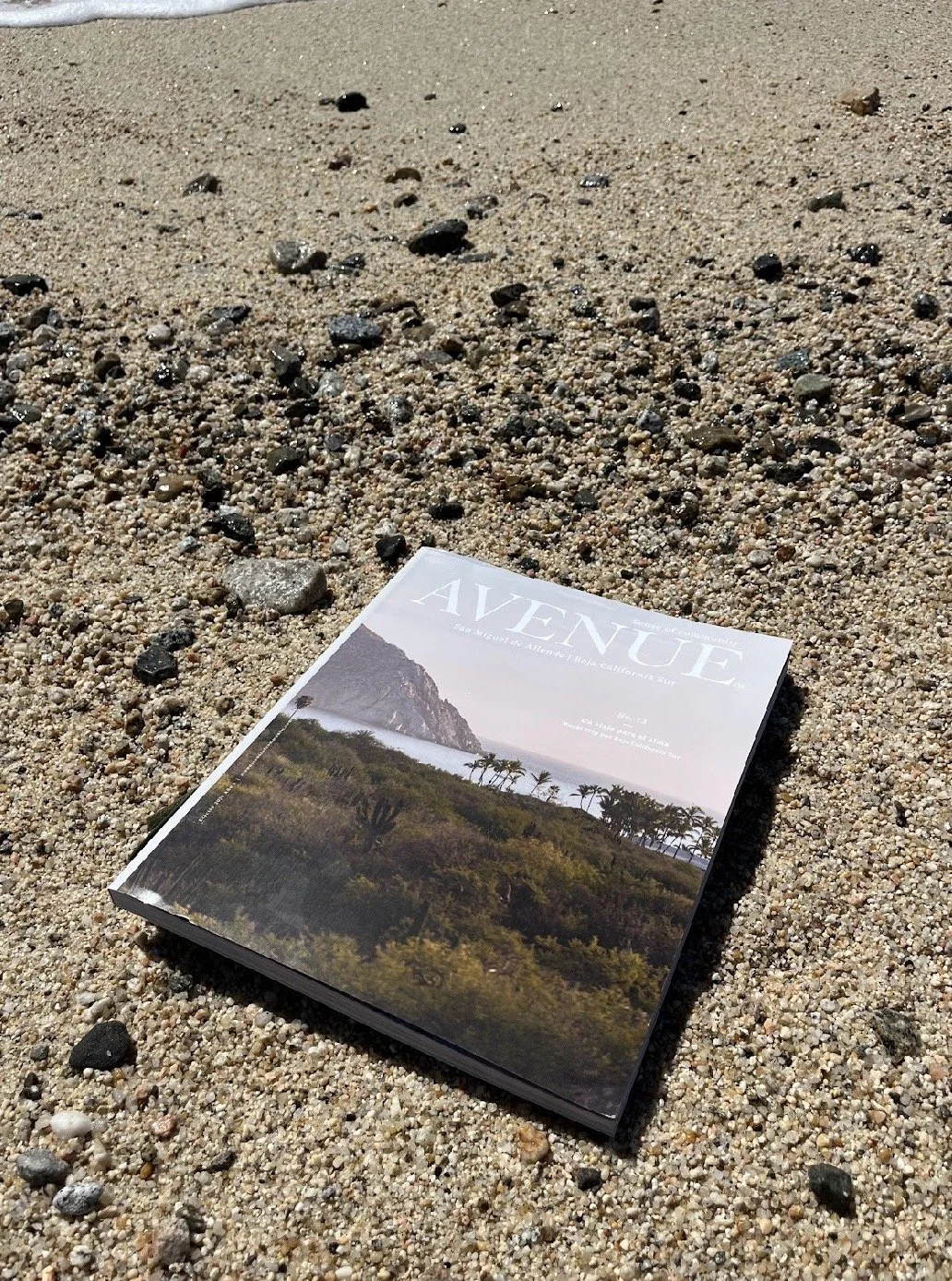 AVENUE llega a Cabo Pulmo Divers