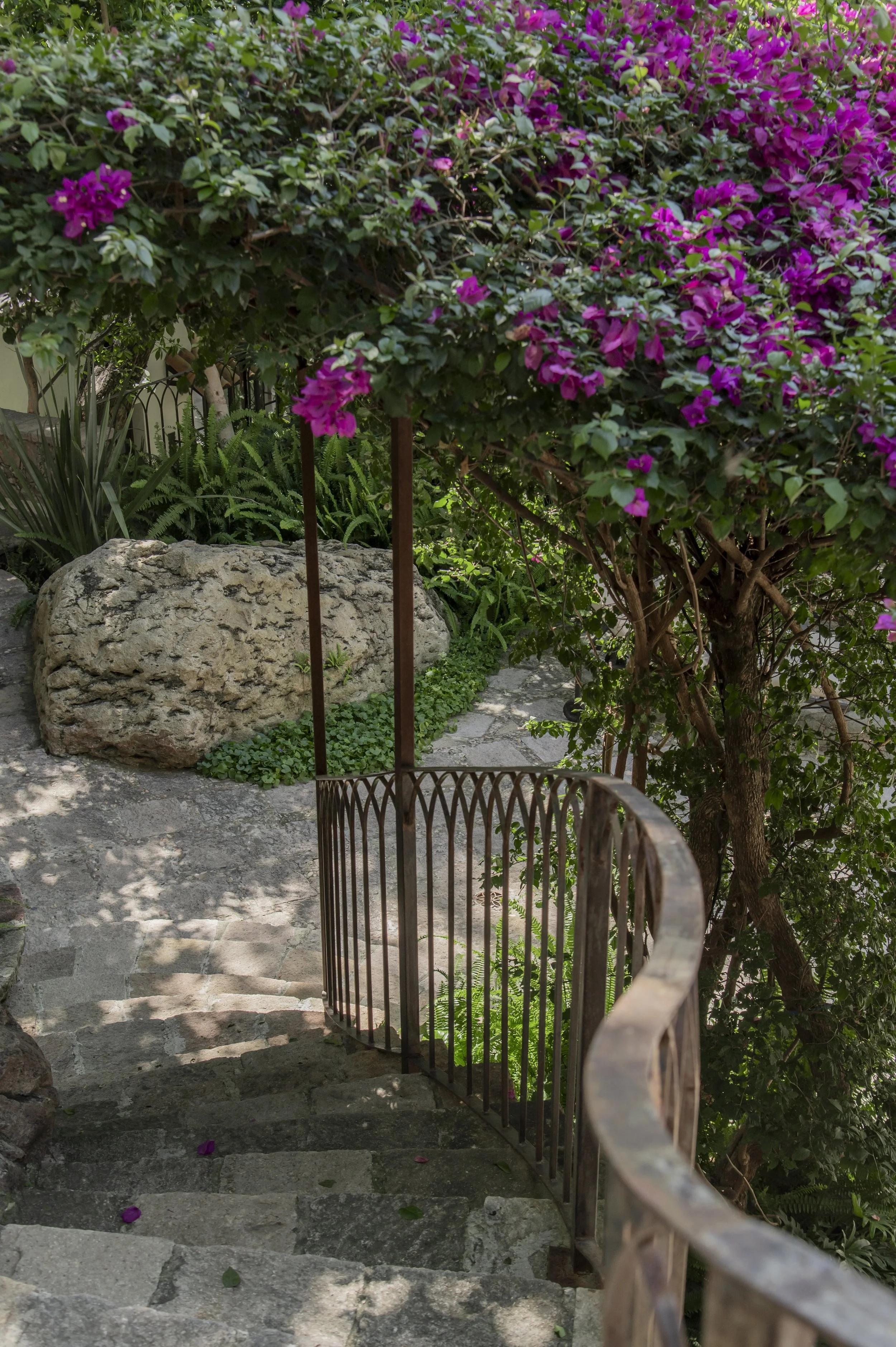 The Value of Restoring Green Spaces