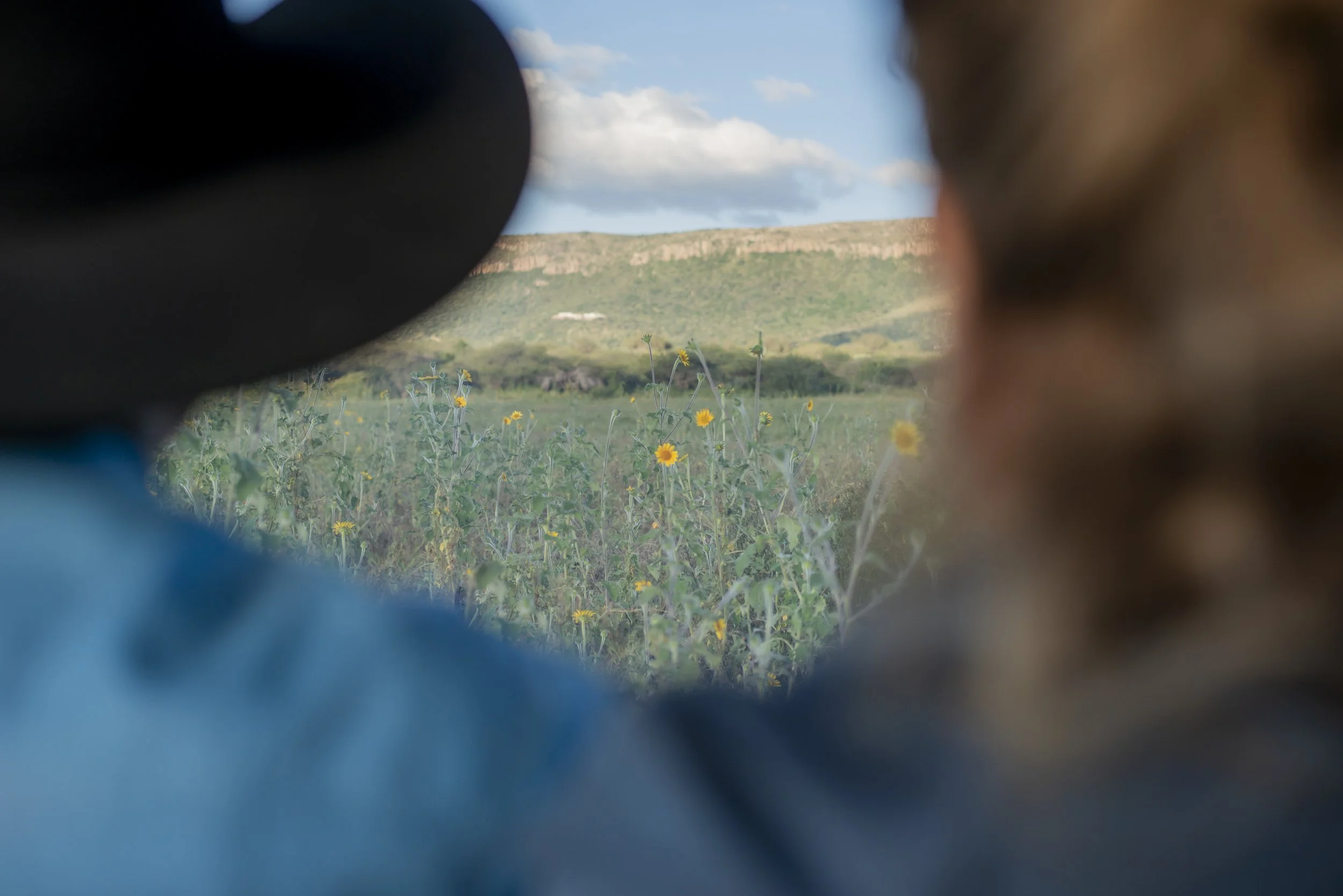 Looking at the Land Before Building