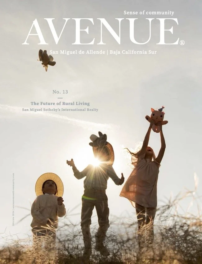 Avenue 13 100126.jpg