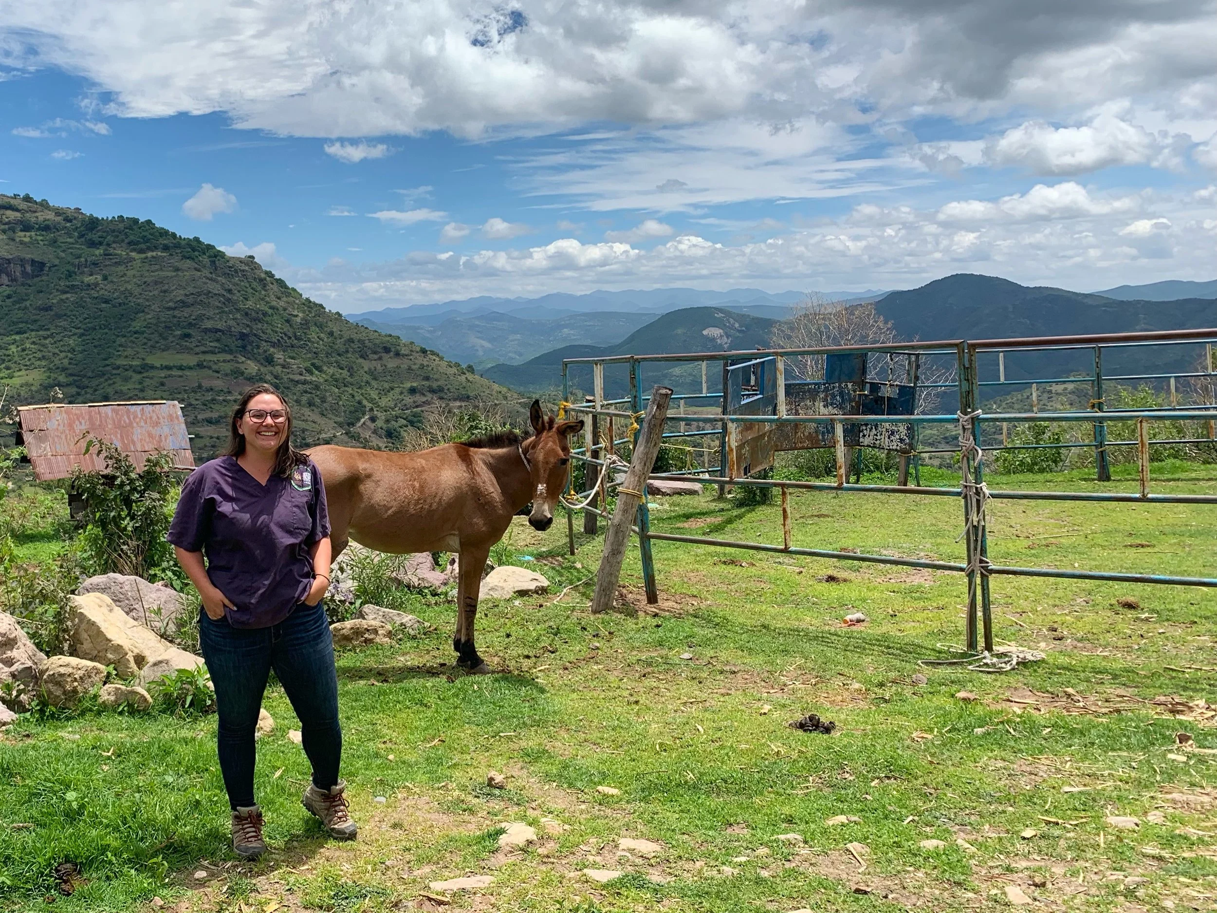 A woman standing on grass near a brown horse, with mountains and a cloudy sky in the background.