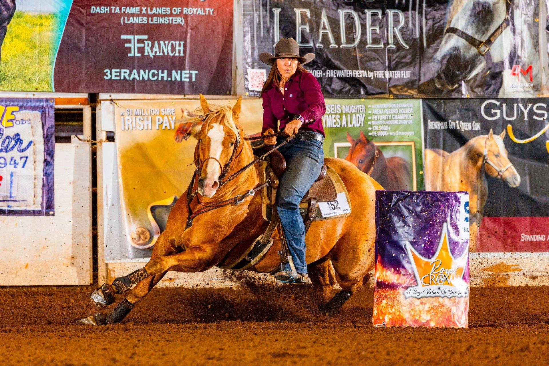 A woman with a ponytail in a striped shirt and jeans stands beside a horse with a saddle and bridle, at sunset in an open field.