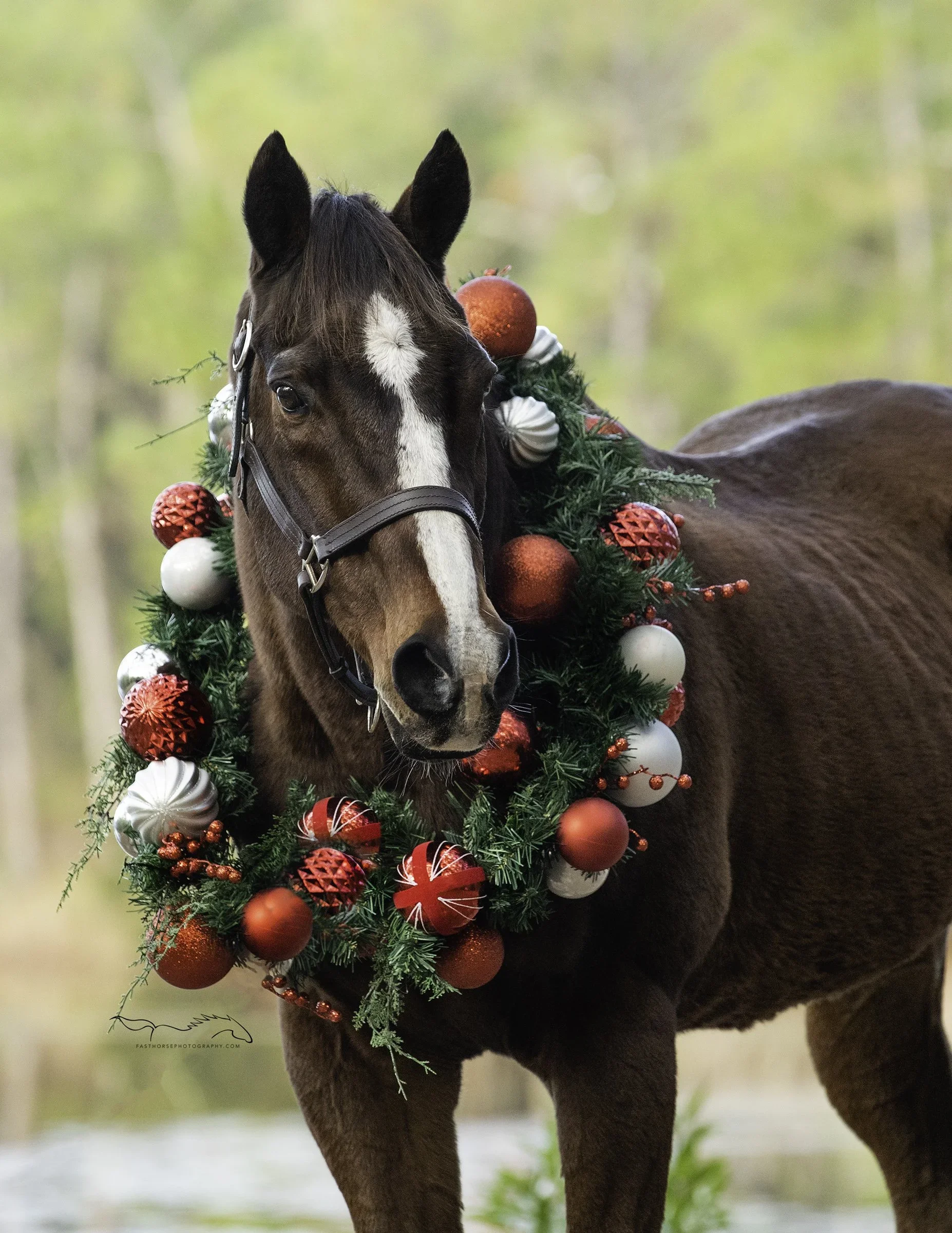 Christmas Eve and Day - Closed